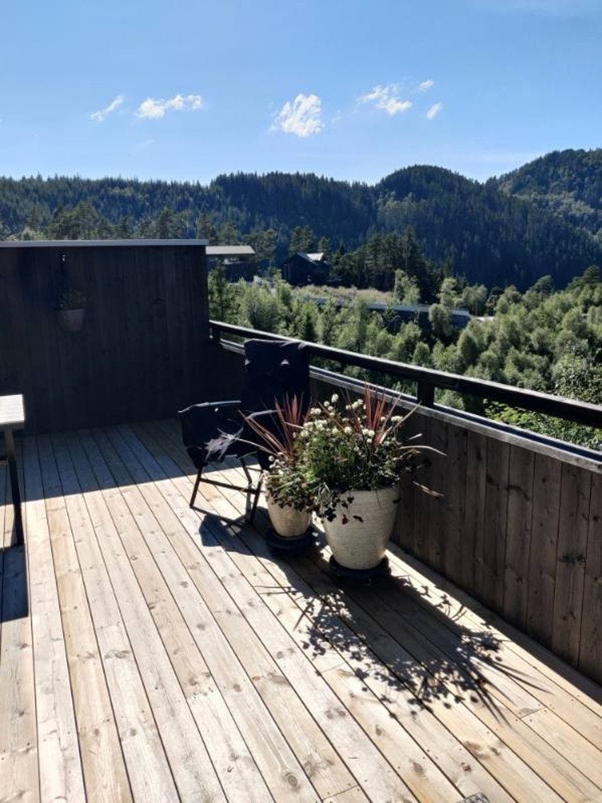 En sommerdag på terrassen. Galleribilde