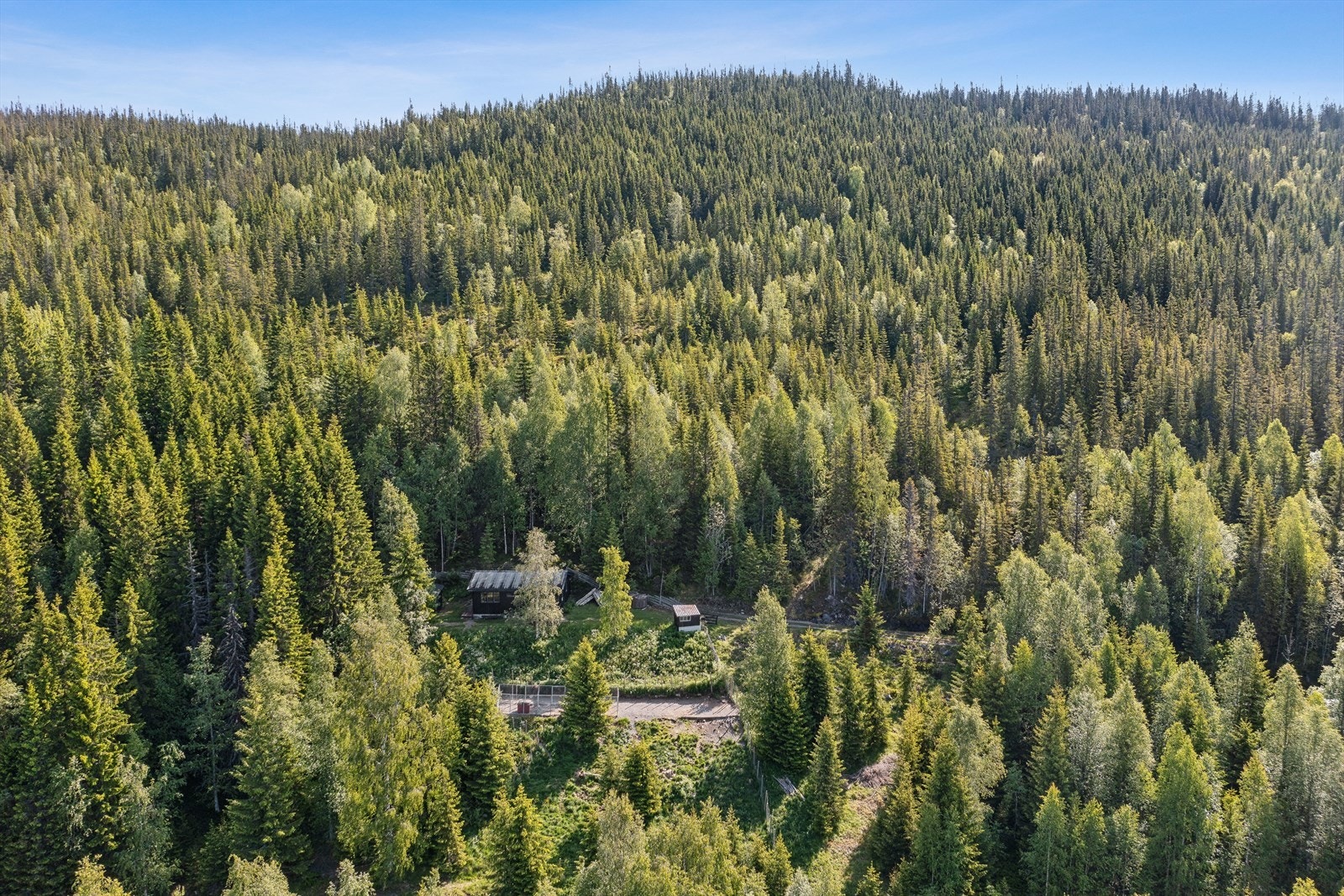 Området byr på flotte turmuligheter både sommer og vinter. Galleribilde