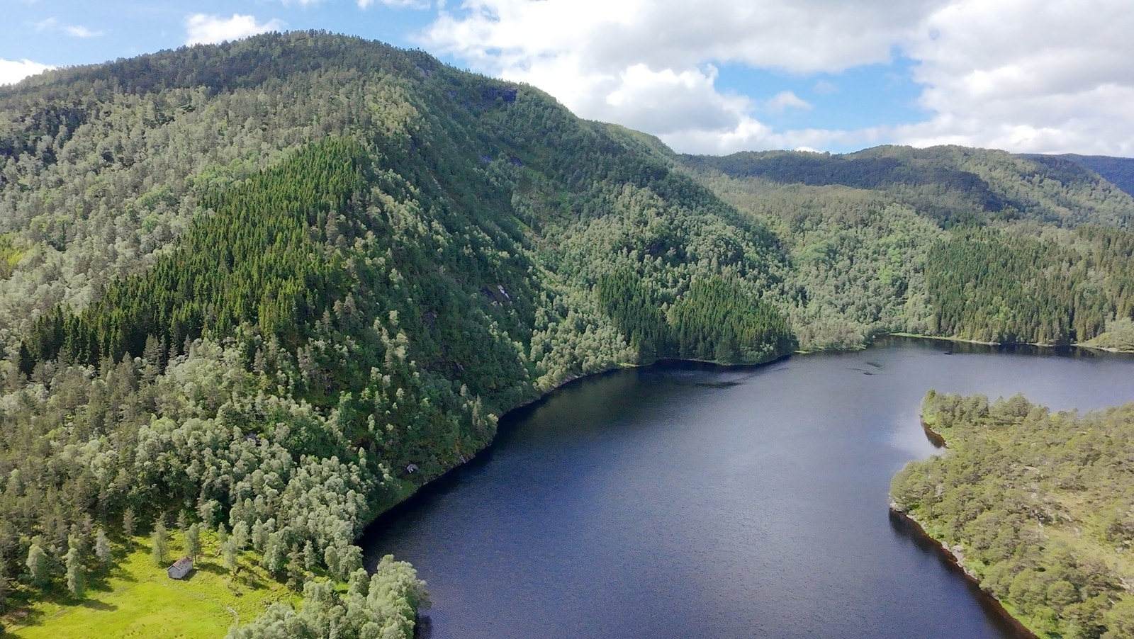 Gode fiskemuligheter i eget vann Galleribilde