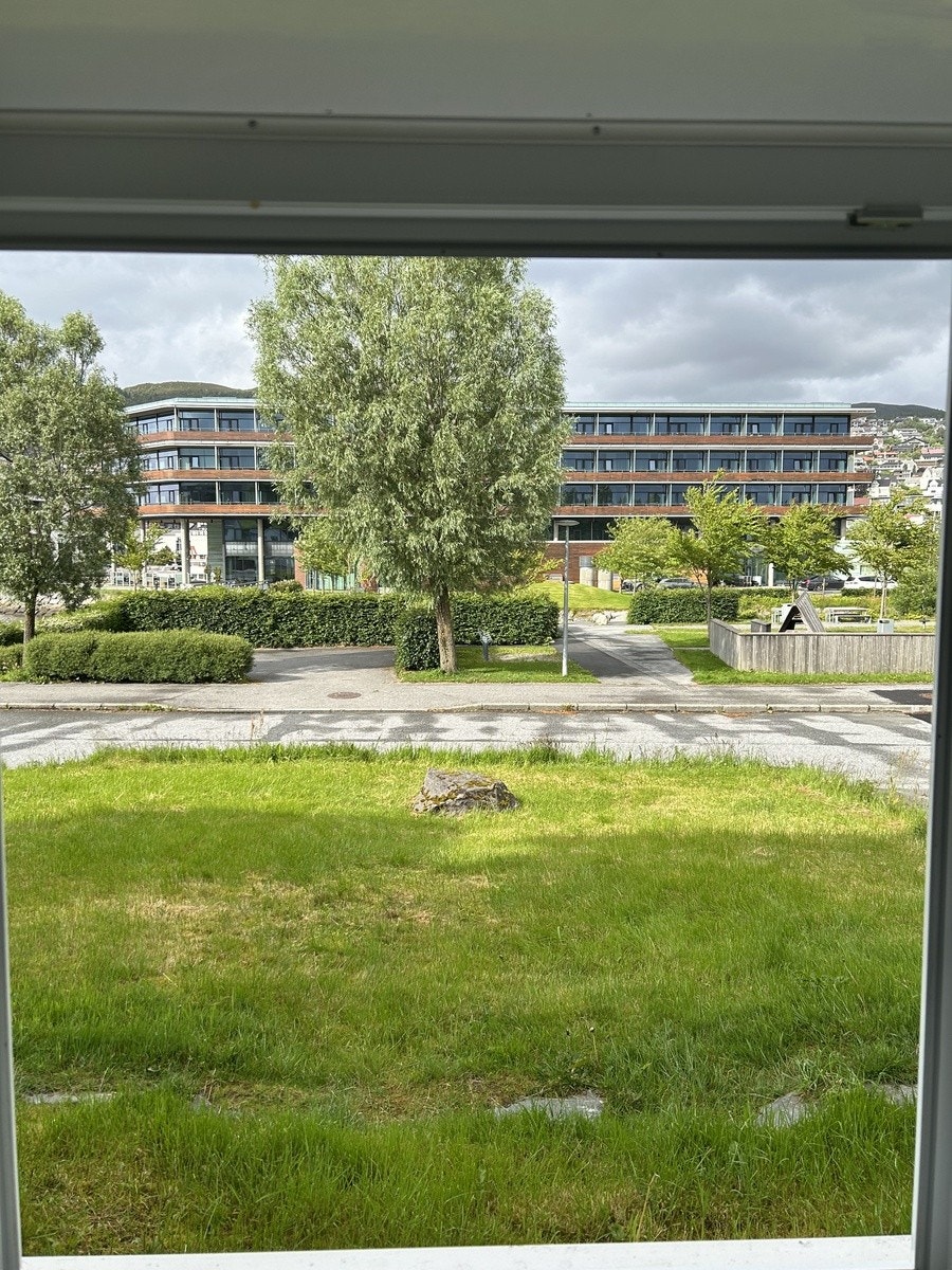 Utsikt fra vinduet Galleribilde