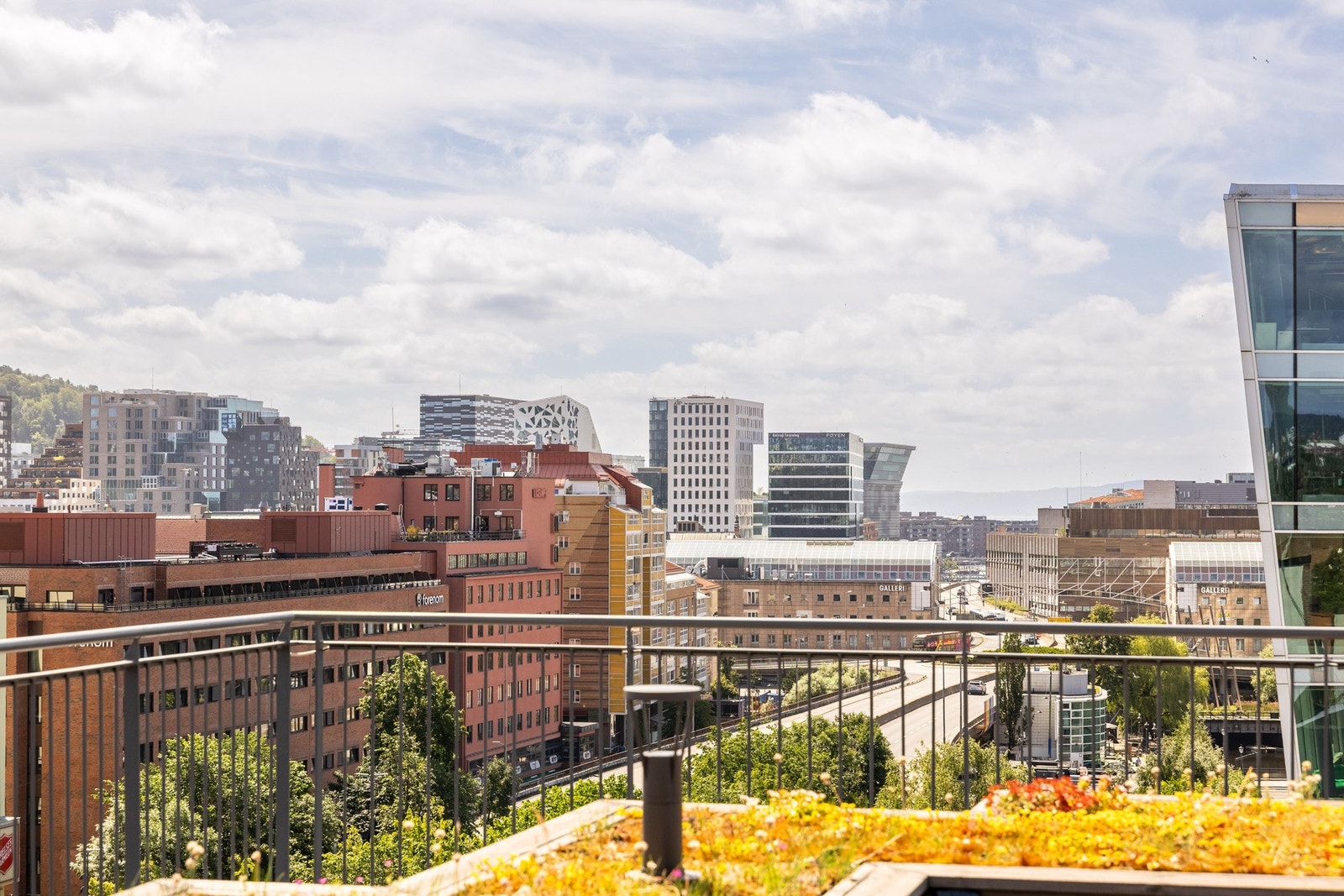 Fantastisk utsikt og solforhold. Galleribilde