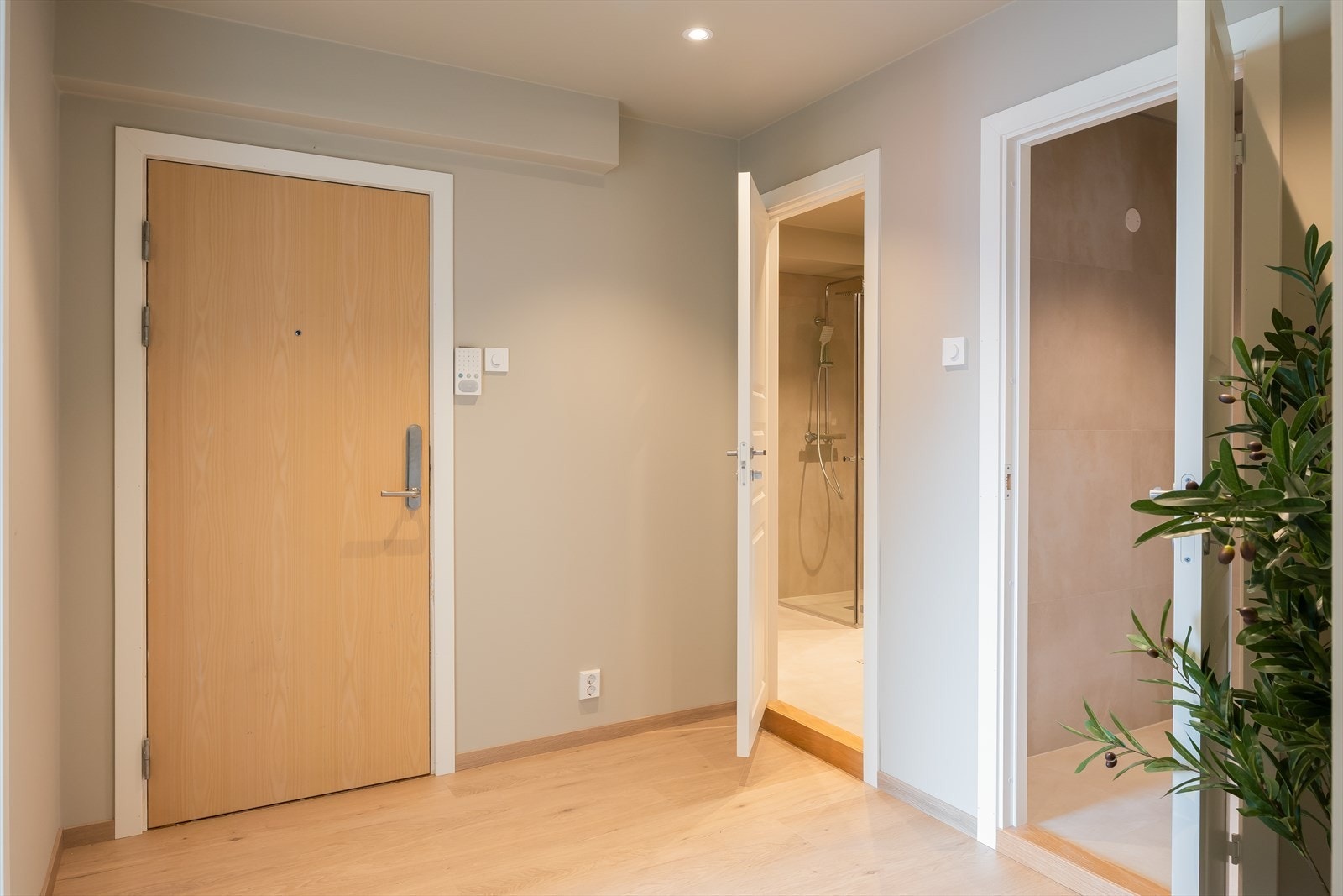 Man går opp til 3. etasje og kommer inn i en entré/gang på 6,3 kvm, som gir muligheter for oppbevaring av yttertøy og sko. Man blir møtt med splitter ny 1-stavs laminatgulv, samt behagelige downlights i tak. Galleribilde