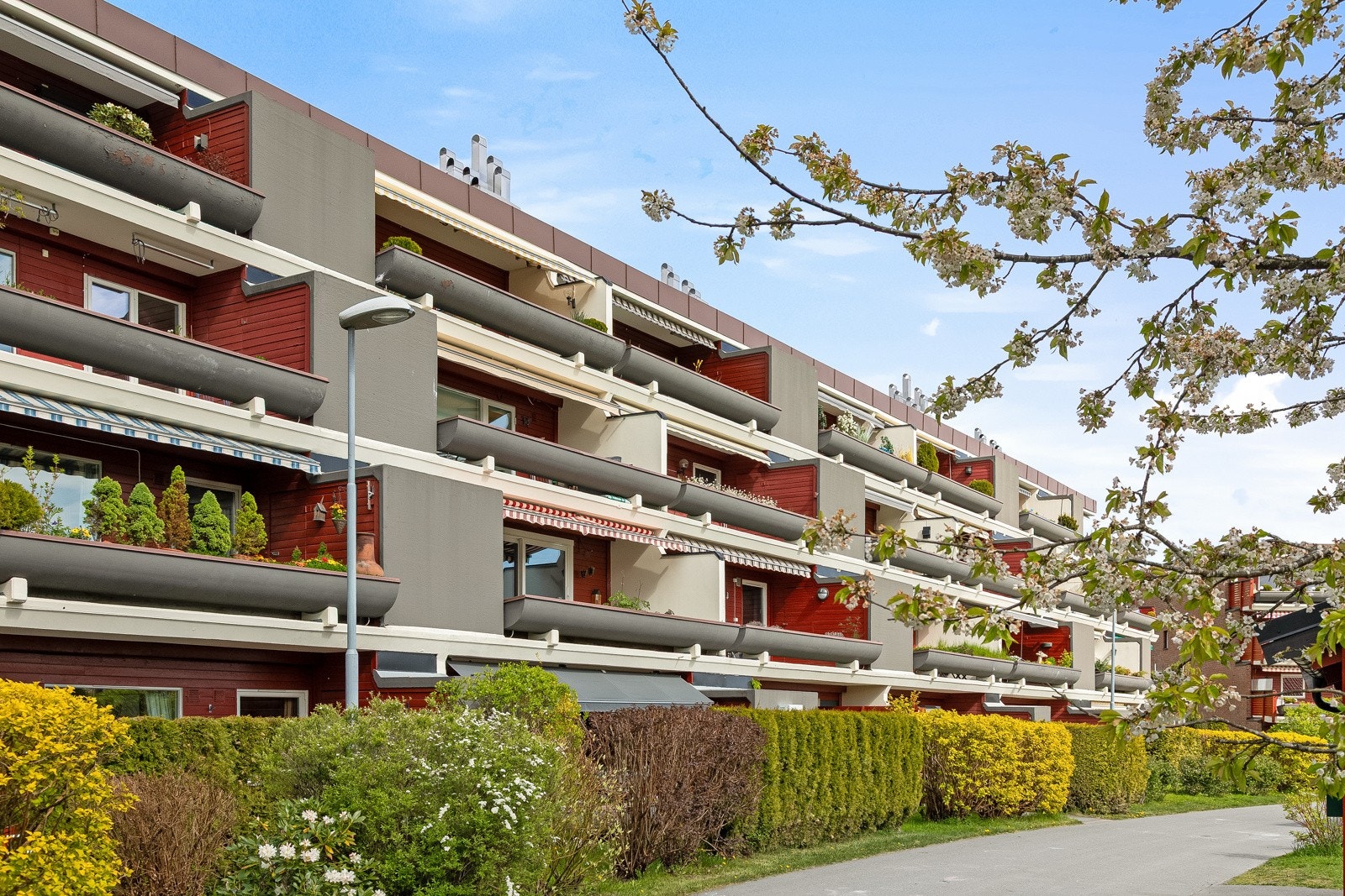 Velkommen til visning! Galleribilde