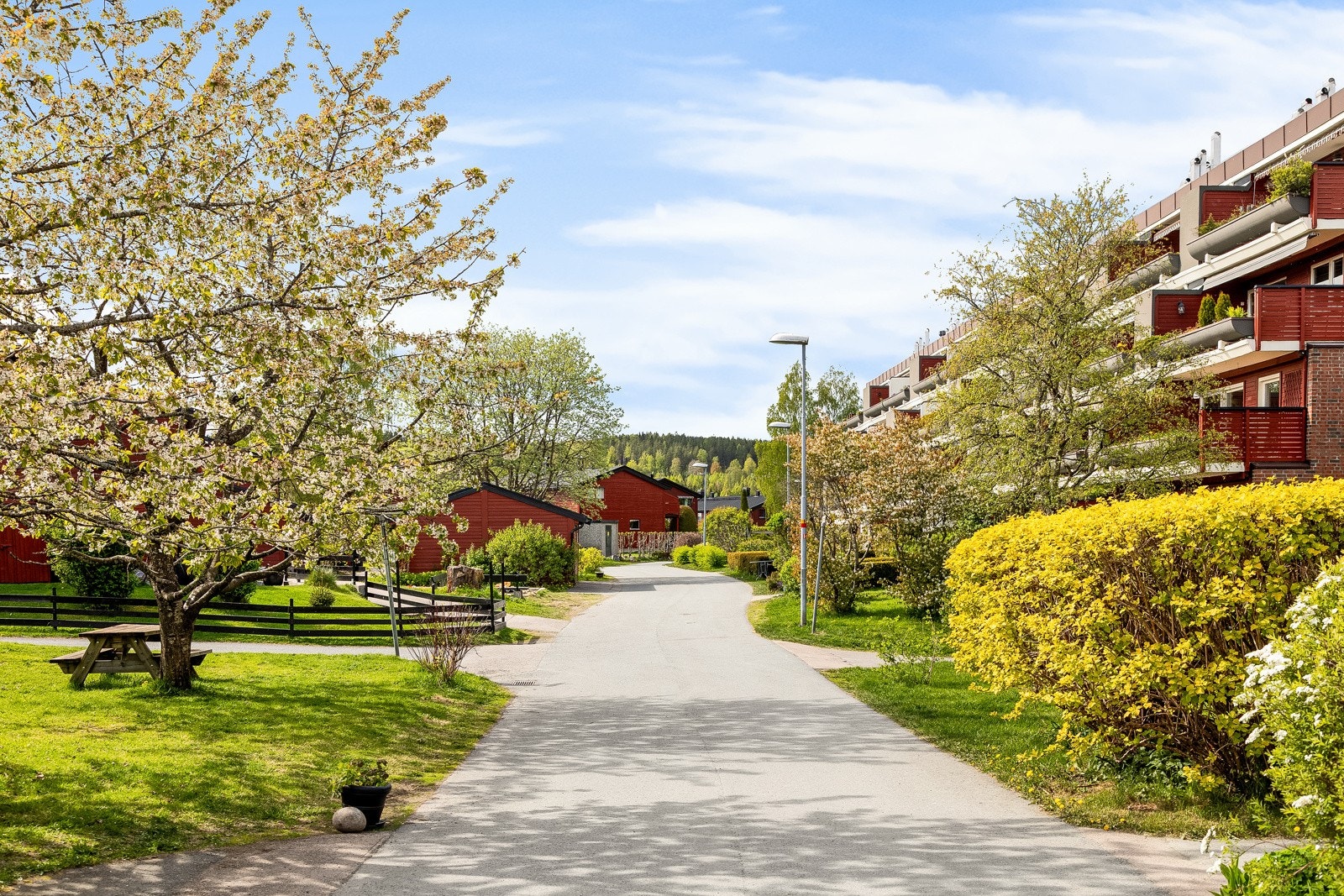 Fellesarealene er pent opparbeidet med gressplener, trær, blomstrende prydbusker, samt benker og bord. Galleribilde
