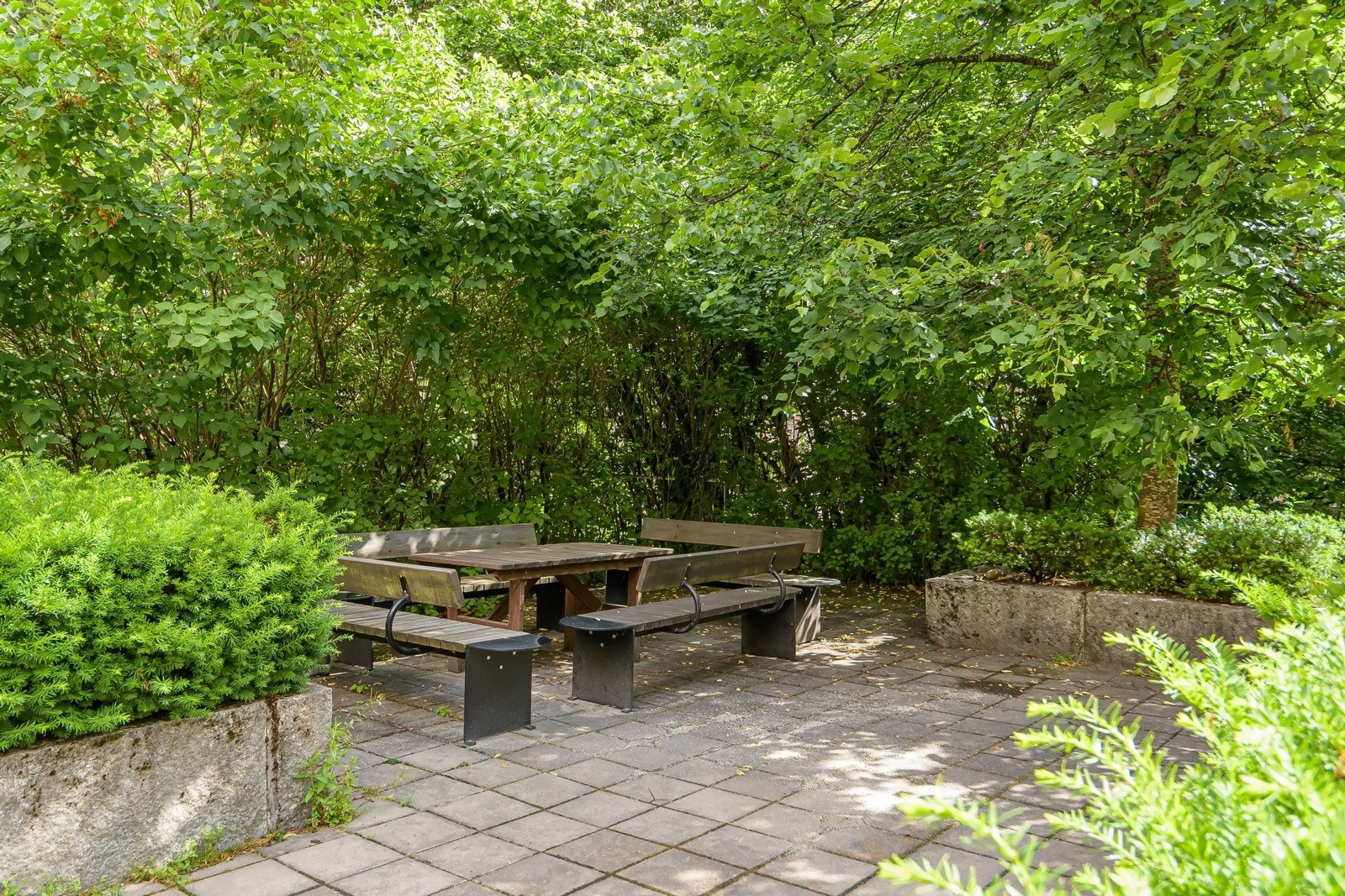 Utenfor leiligheten er det fine og frodige fellesarealer med felles sittegrupper og grillmuligheter. Galleribilde