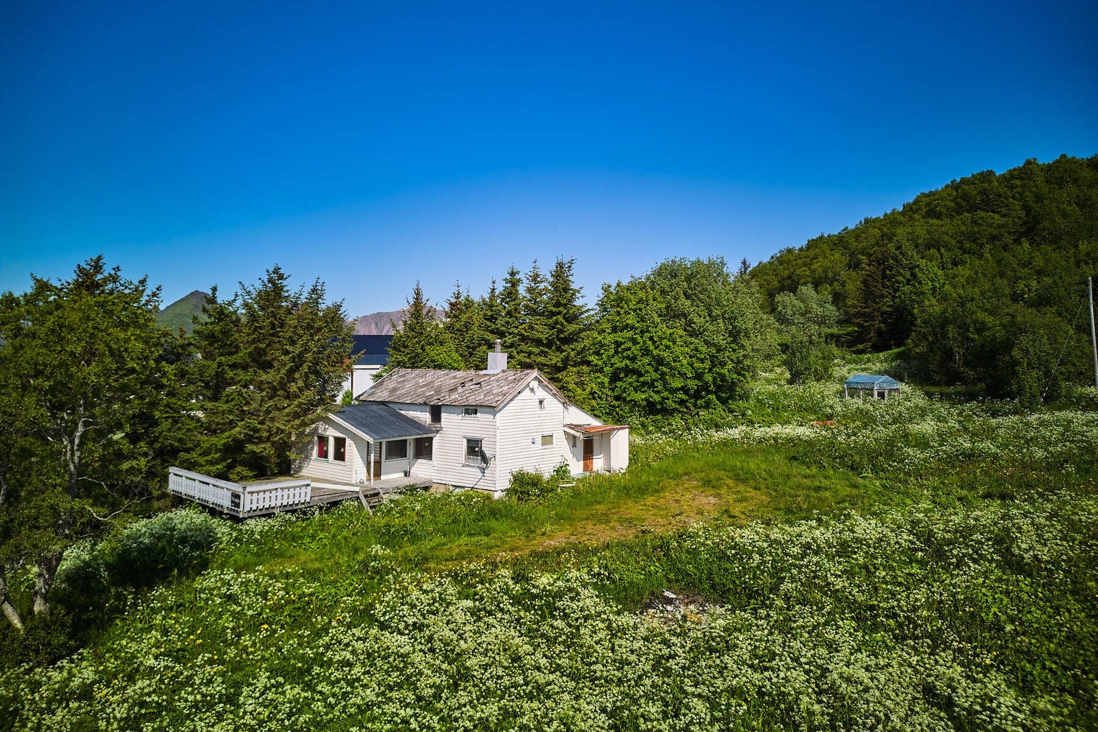 Fasade. Galleribilde