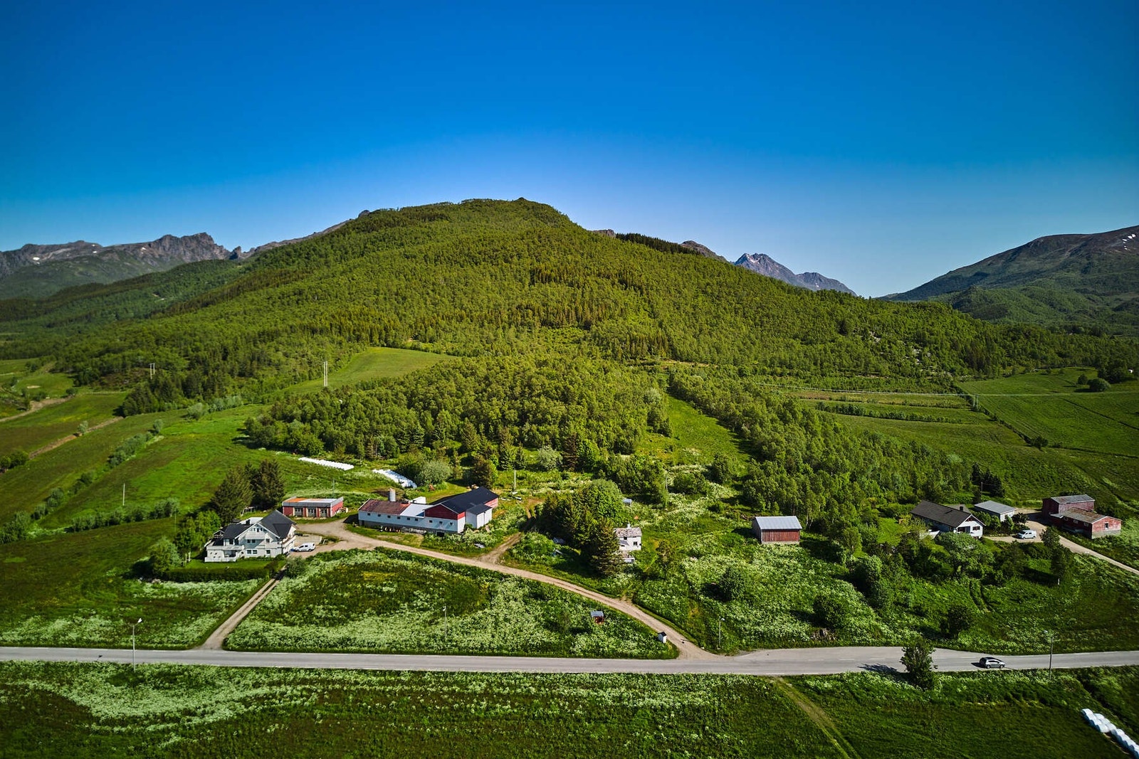 Beliggenhet. Galleribilde