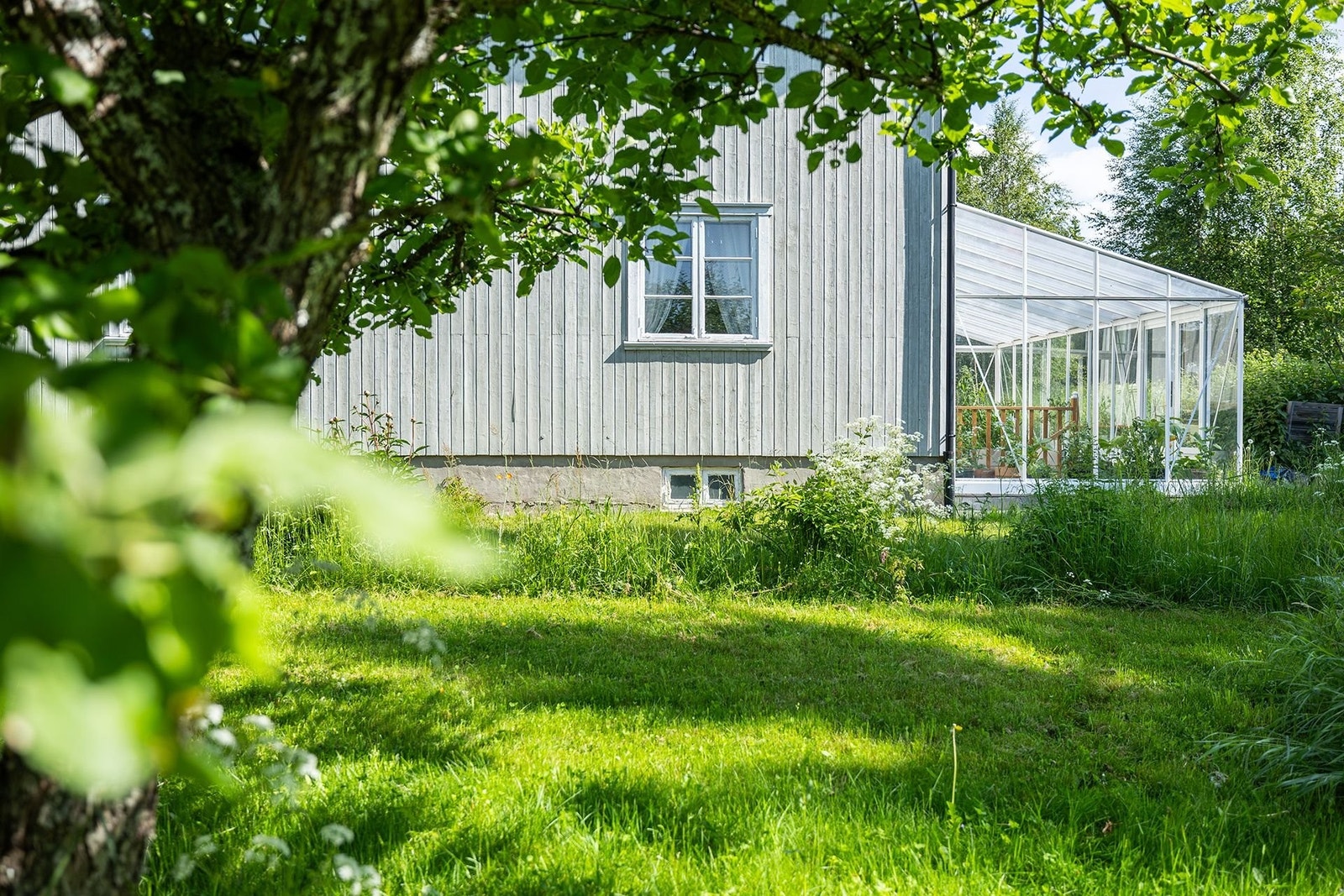Lean to-drivhus fra Willab Garden. Drivhuset har to dobbeltdører og man kommer også inn i drivhuset via kjeller. Et deilig sted for å forlenge sommeren! Galleribilde