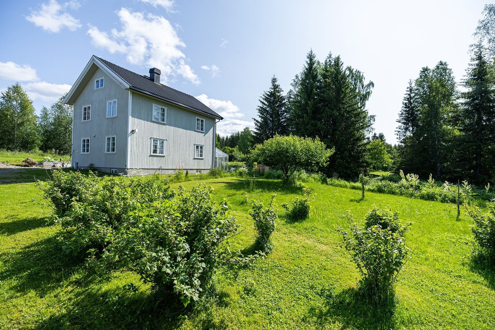 Stor hage med bærbusker, rabarbrafelt, kjøkkenhage og frukttrær. Galleribilde