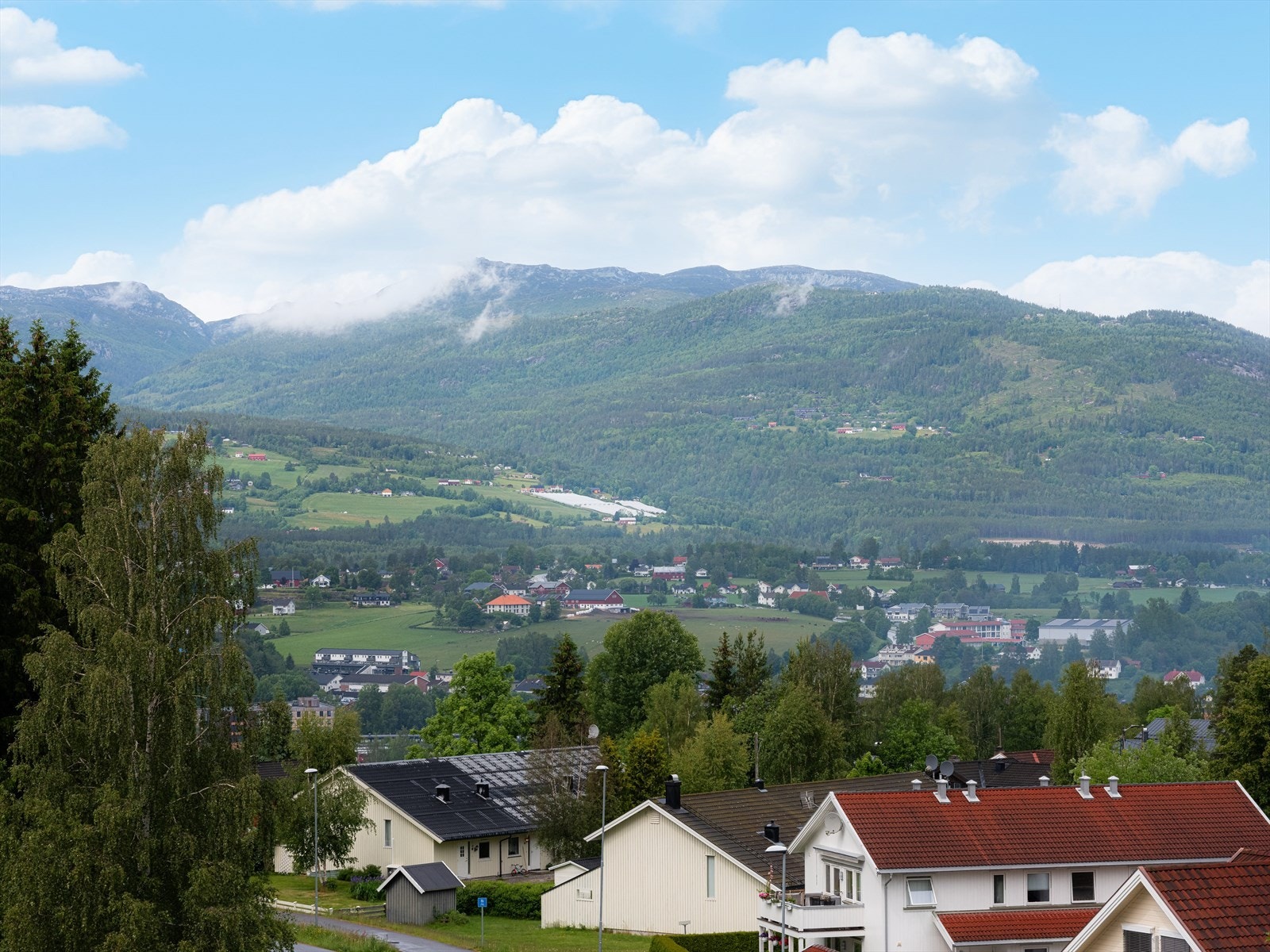 En nydelig plass å tilbringe sommerdagene i fred og ro. Galleribilde