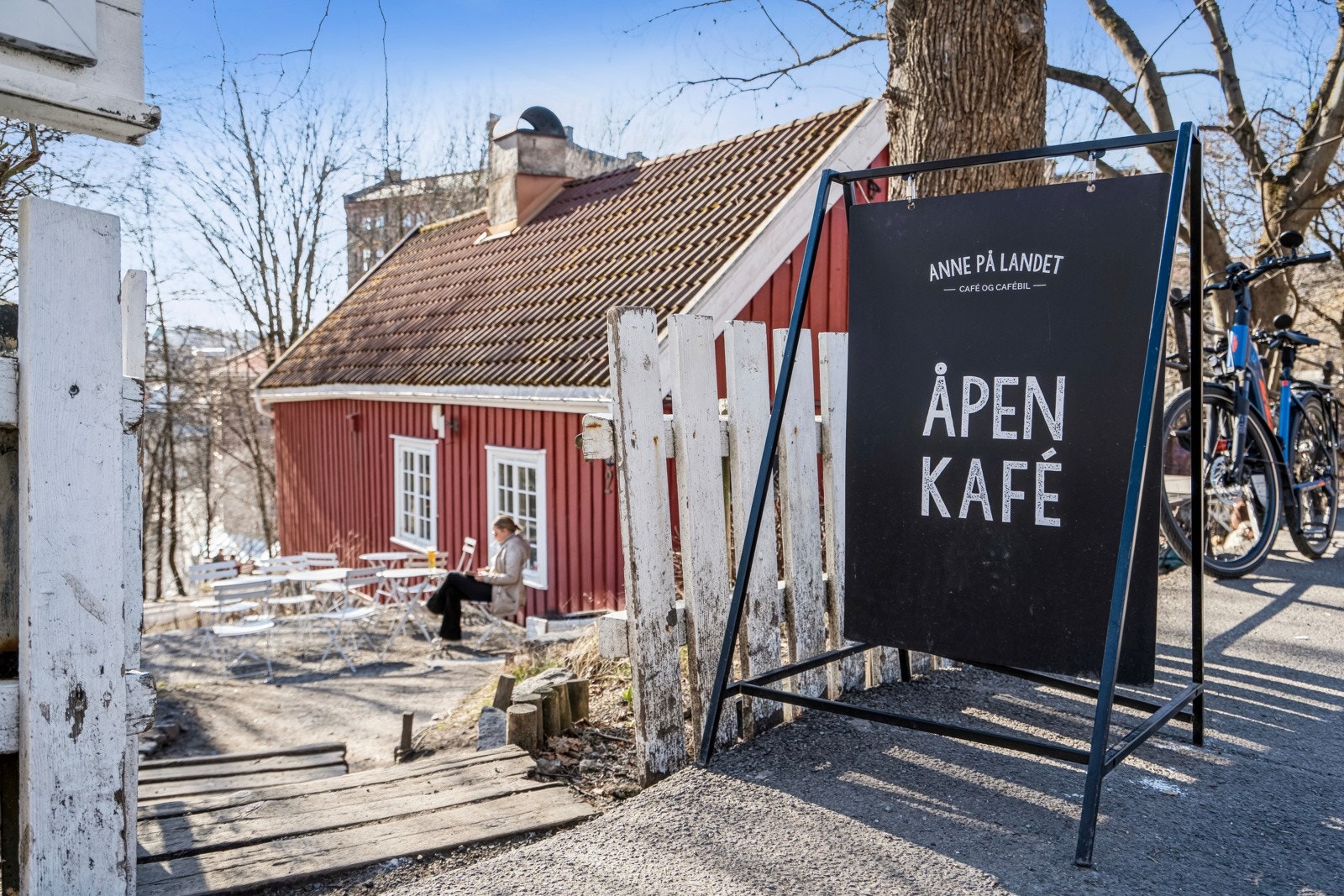 Anne på landet Galleribilde