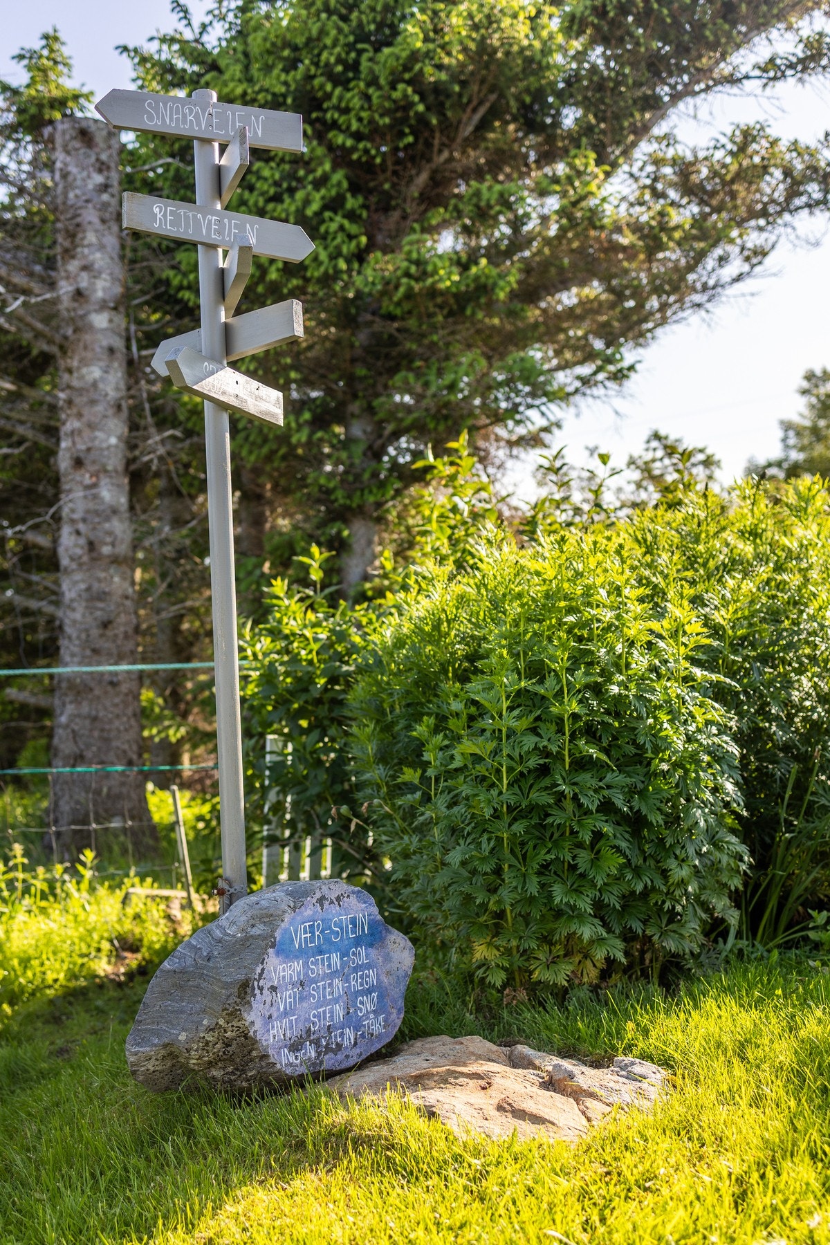 Flotte turområder på øya Galleribilde