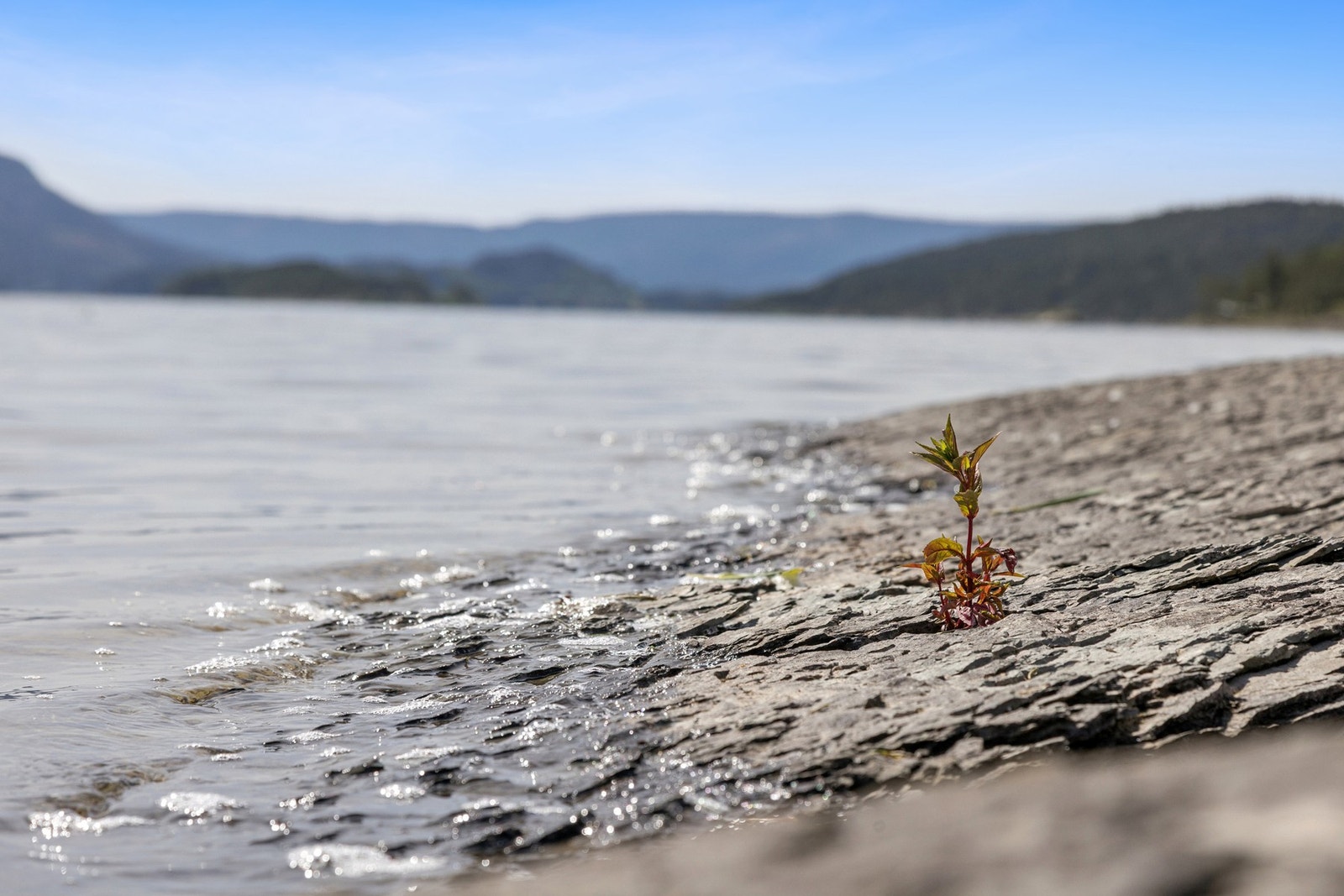 Eiendommen er helt unik med lang strandlinje som også inneholder skjær/svaberg. Galleribilde