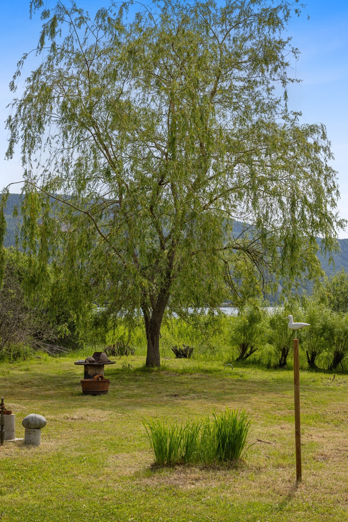 Det er masse flotte trær og busker på eiendommen. Galleribilde