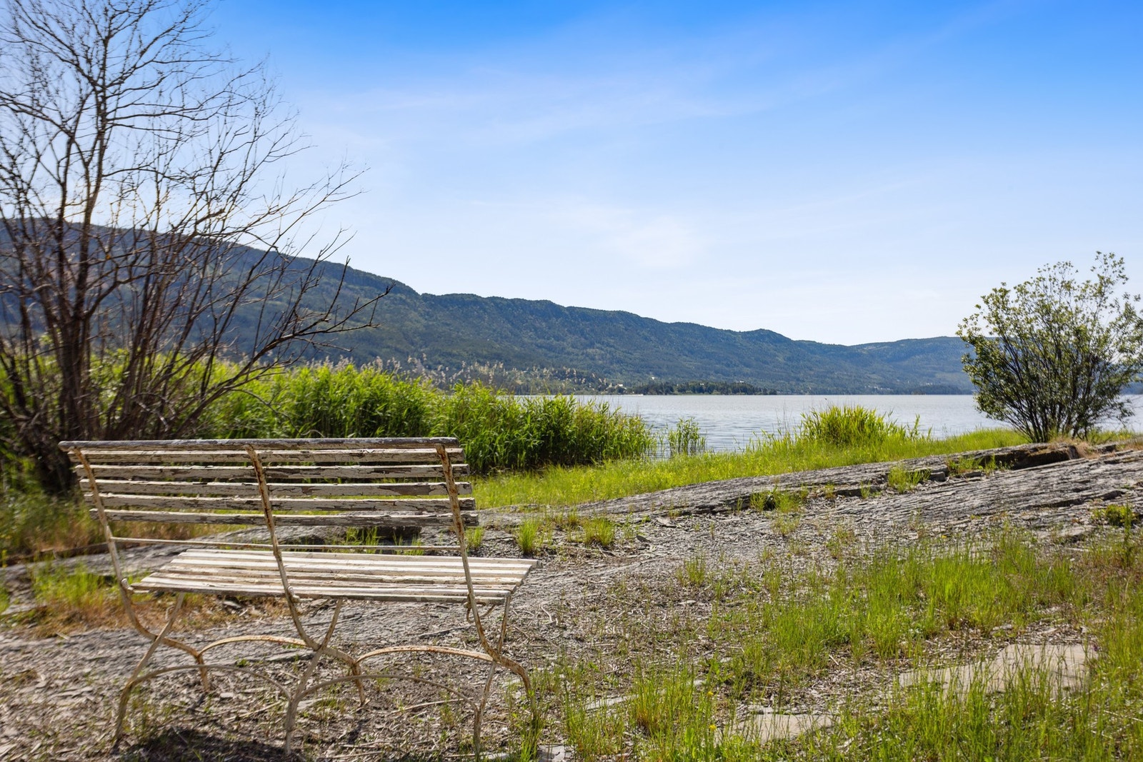 Det er vanskelig å få det så mye bedre. Galleribilde