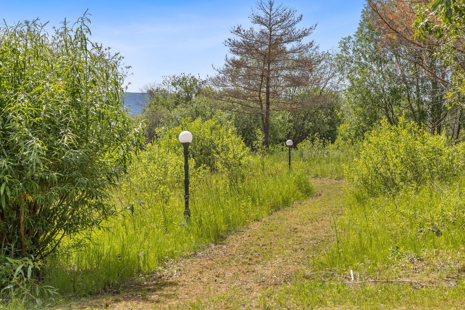 Her føres man ned til vannkanten. Galleribilde