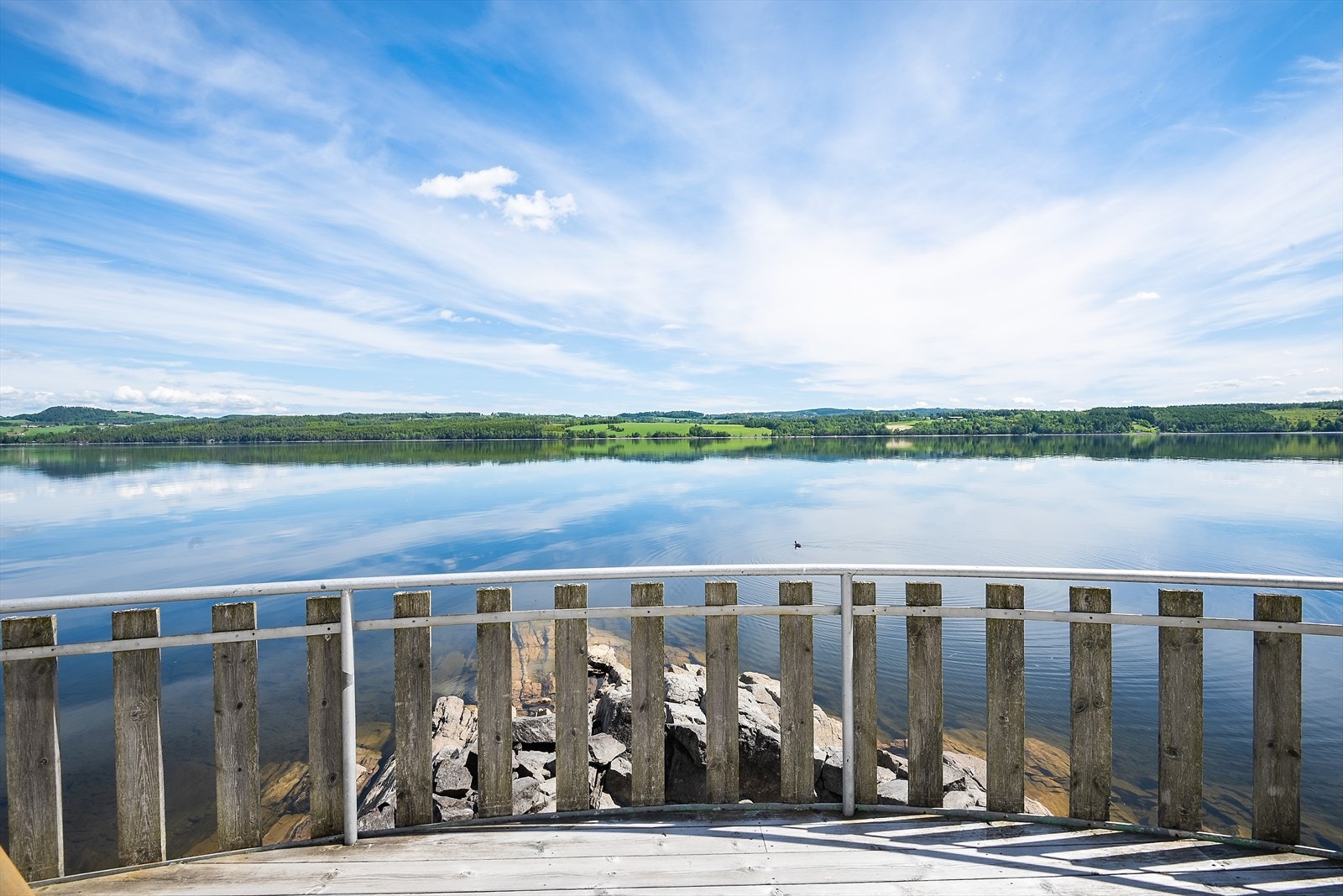Blikkstille vann. Galleribilde