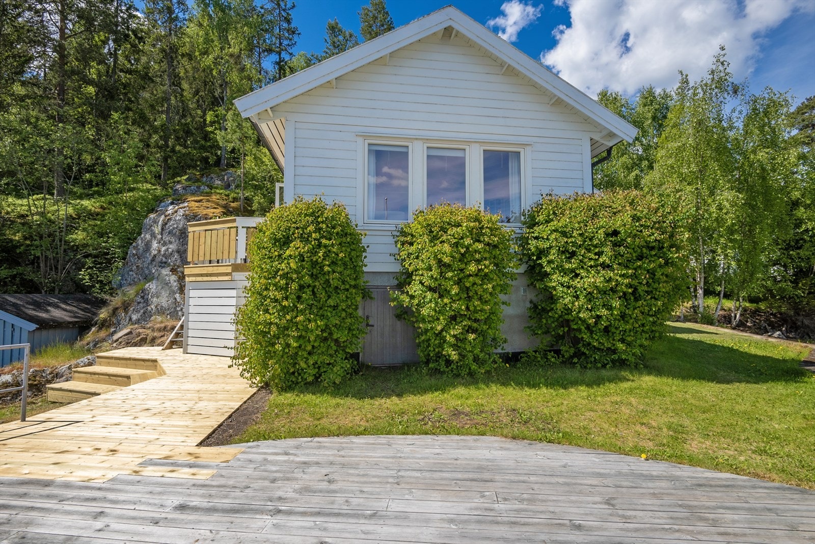 Tomt med plen og beplantning. Galleribilde