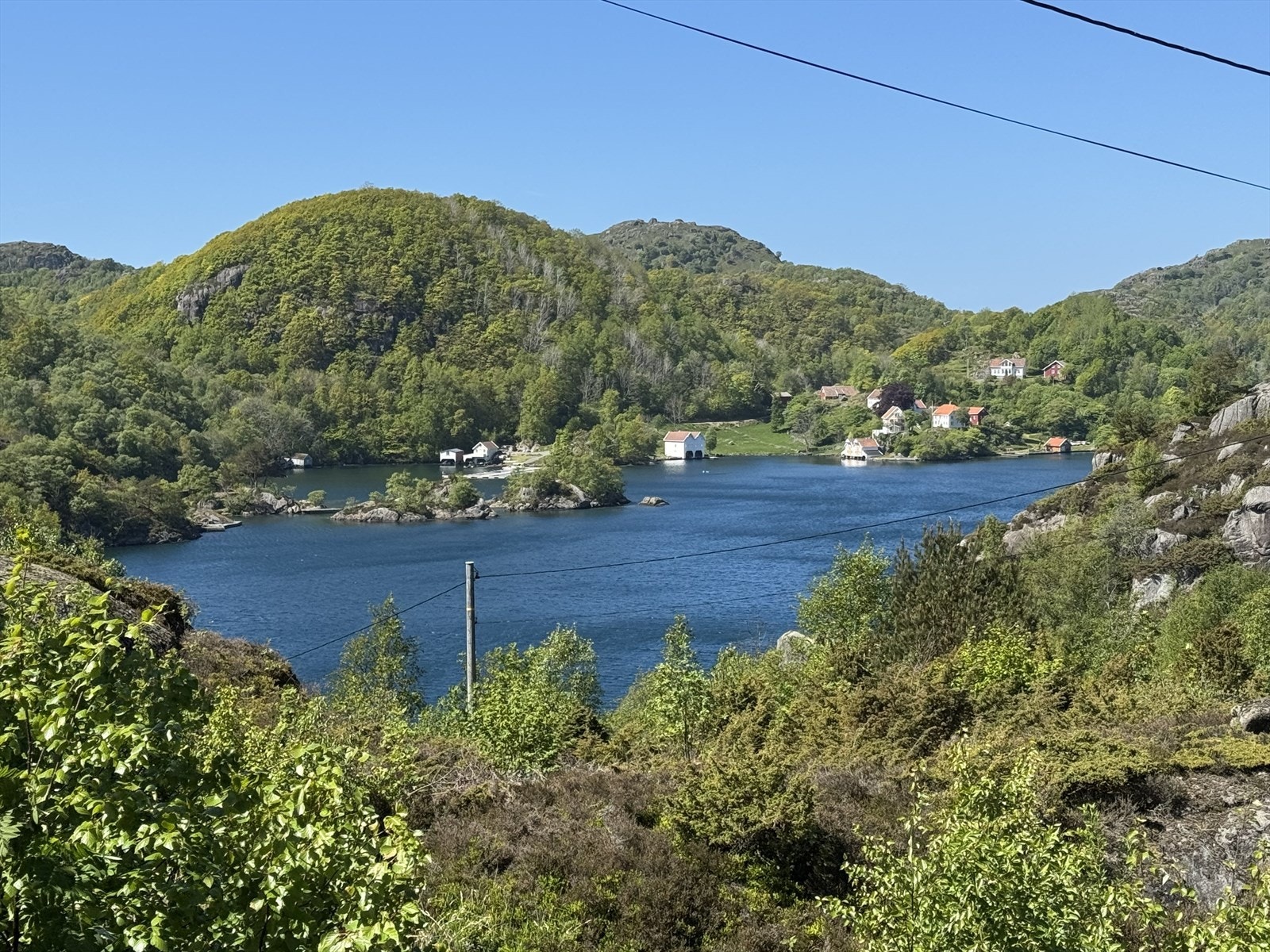 Vågefjorden! Galleribilde