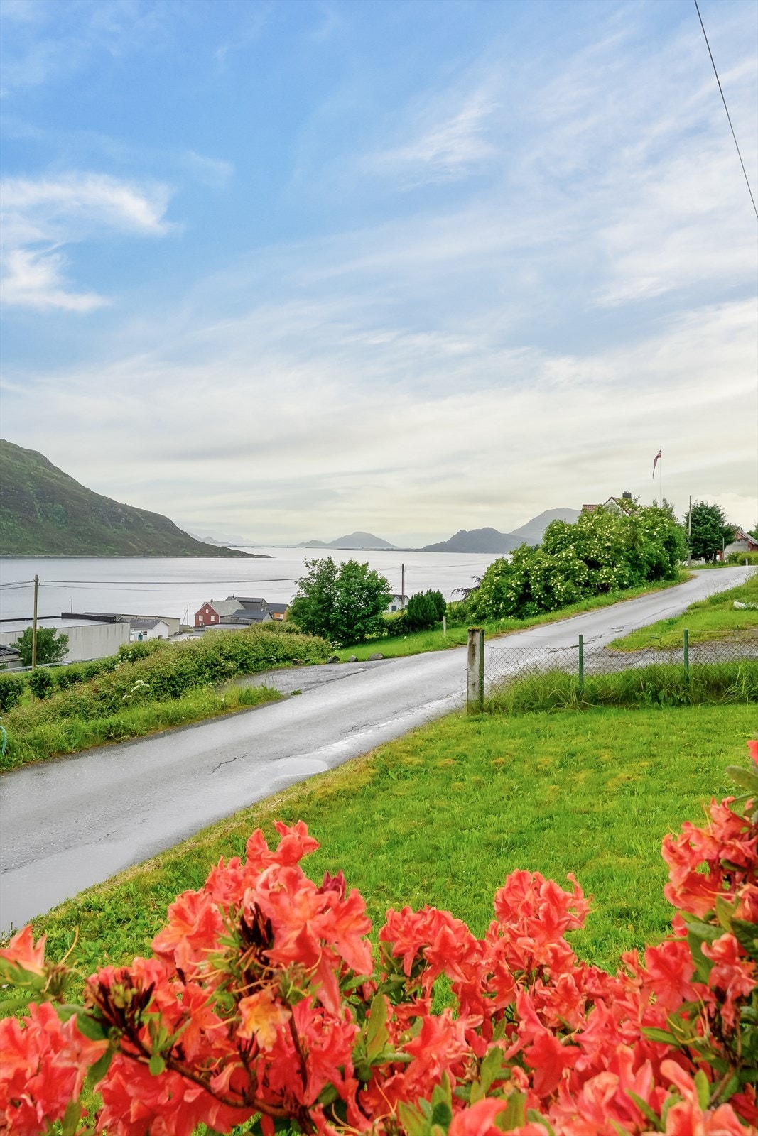Utsikt mot havet. Galleribilde