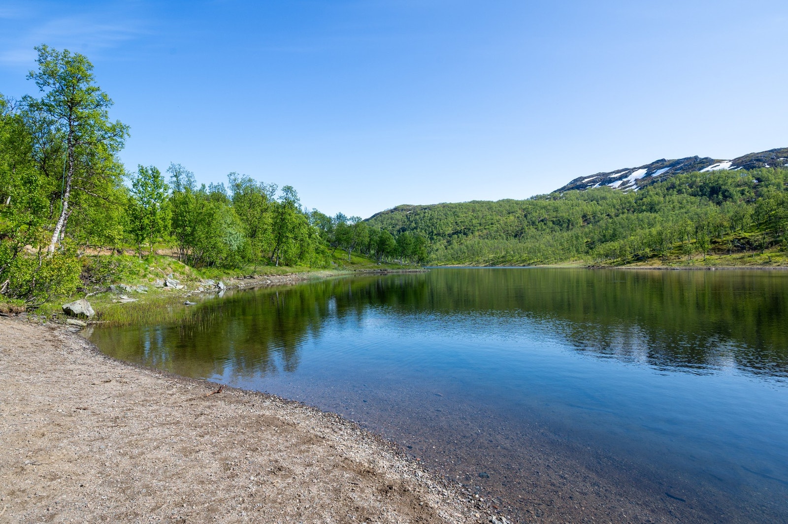 Fin badeplass ved Musvatnet, hvor du kan ta morgenbadet på sommeren Galleribilde