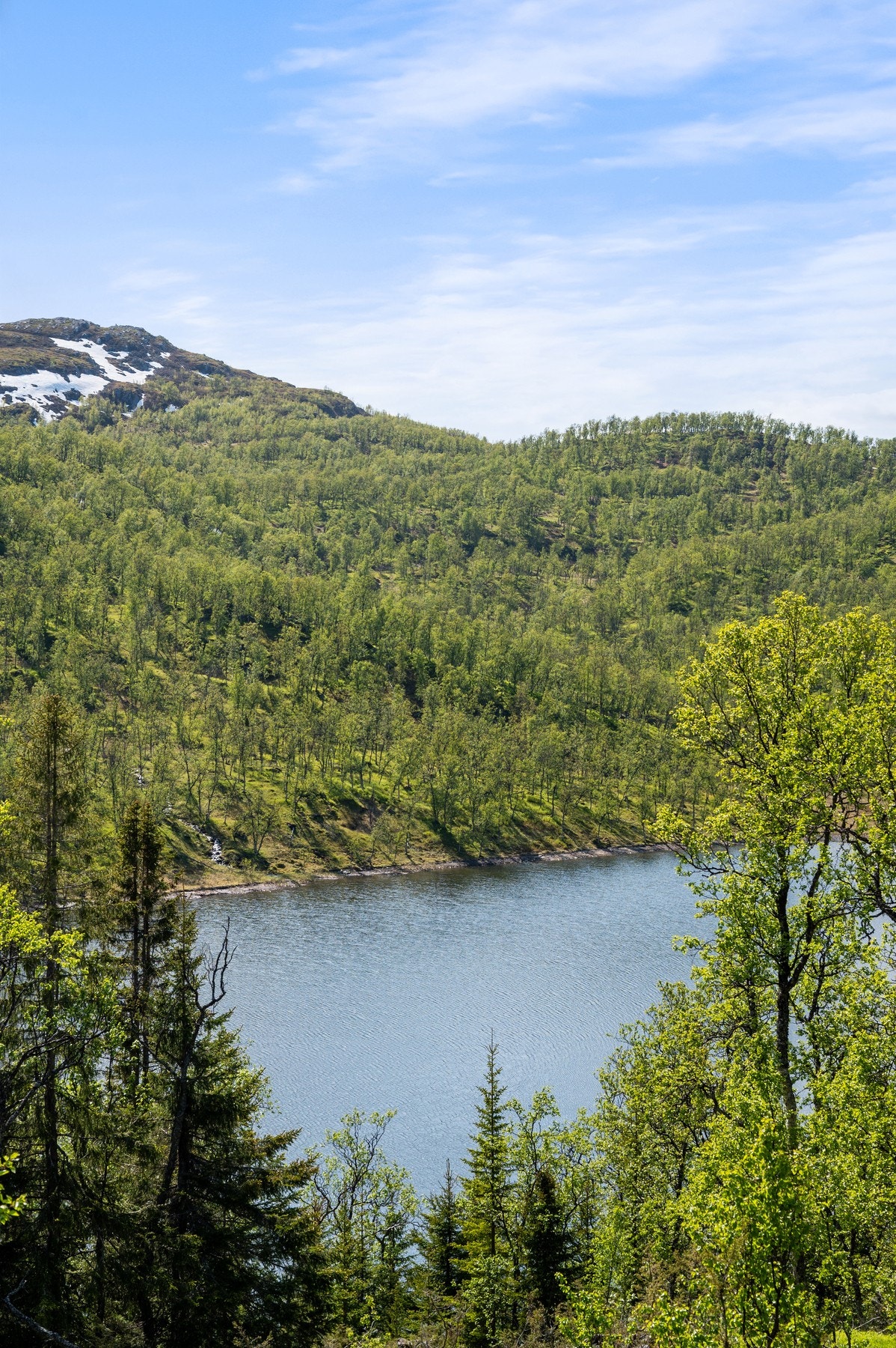 Utsiktsbilde Galleribilde