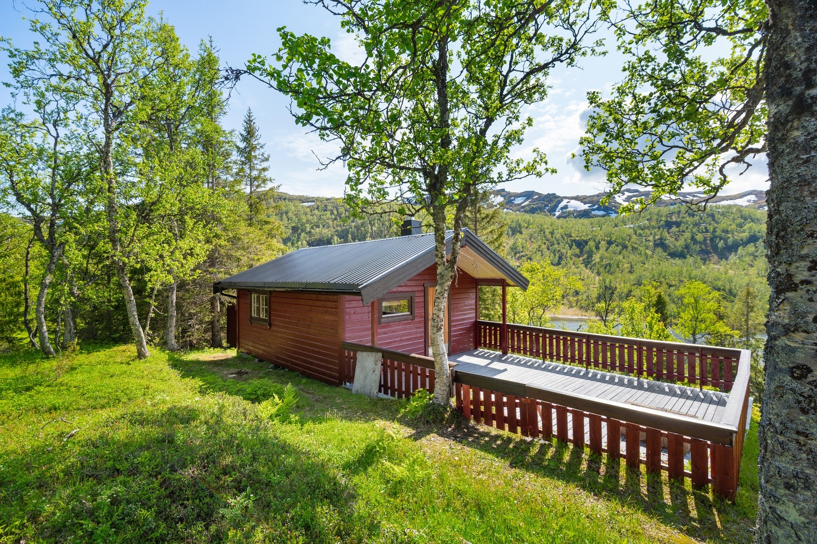 Velkommen til en trivelig visning! Galleribilde