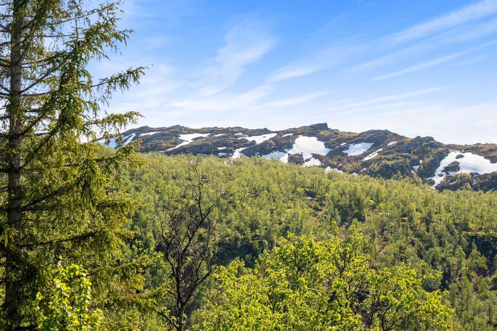 Utsiktsbilde Galleribilde