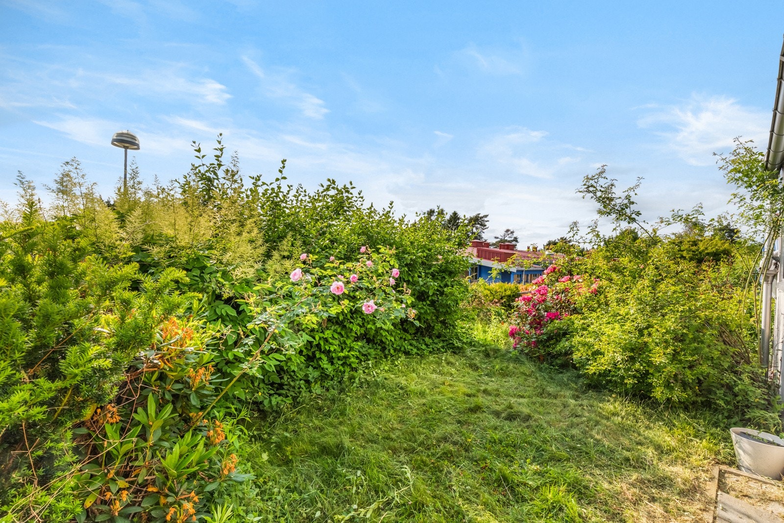 Terrassen og hagen vender mot vest, så her kan du nyte solen! Galleribilde