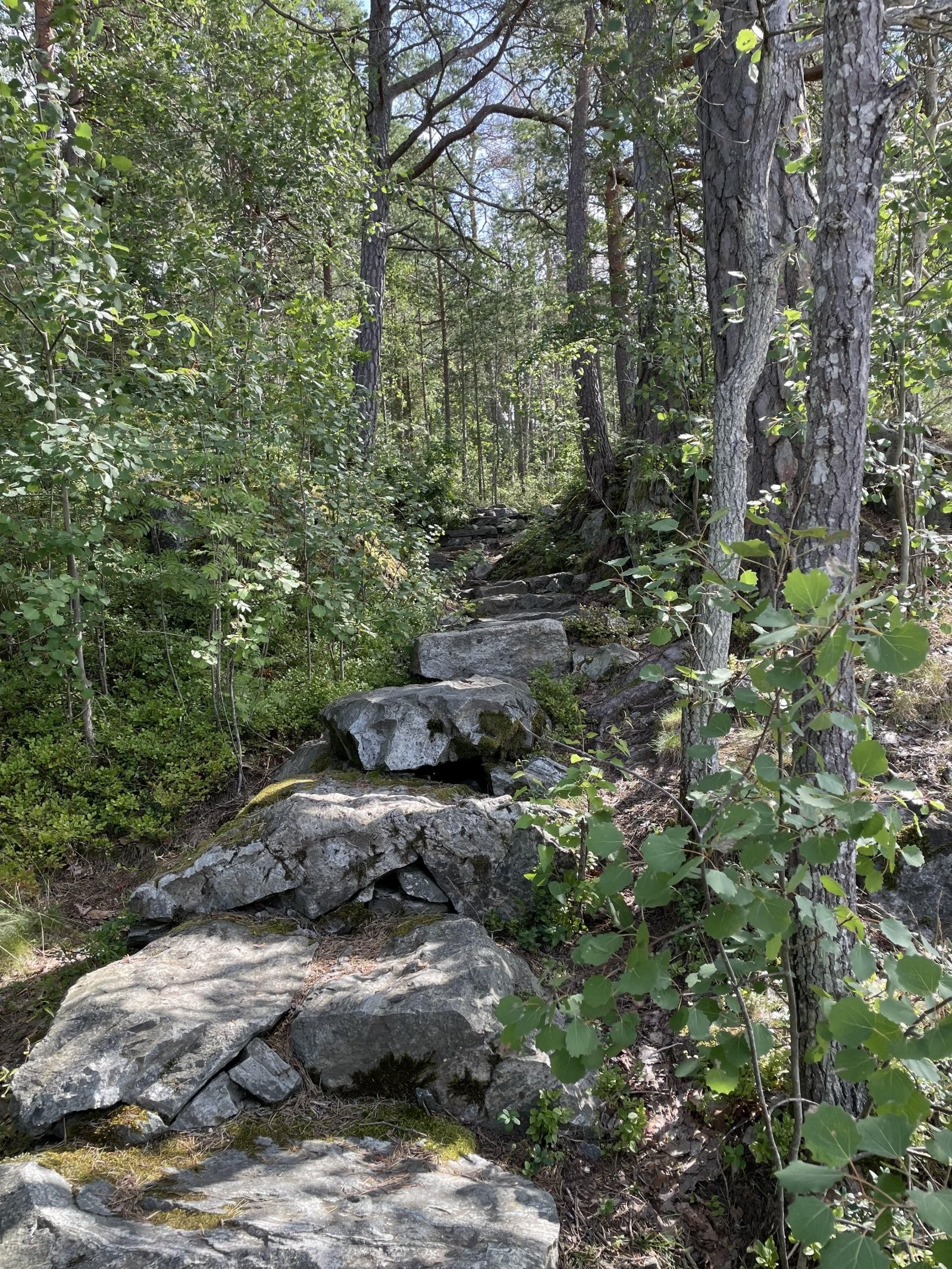 Sherpatrappene ved Svartskog. Opplev den nye Sherpatrppa og Sherpastien ved Svartskog. Dette er stibyggerkunst på et nivå man sjelden ser maken til i Norge, og den nye kyststitraseen kan bare beskrives som en attraksjon i dette vakre kystområdet. Galleribilde