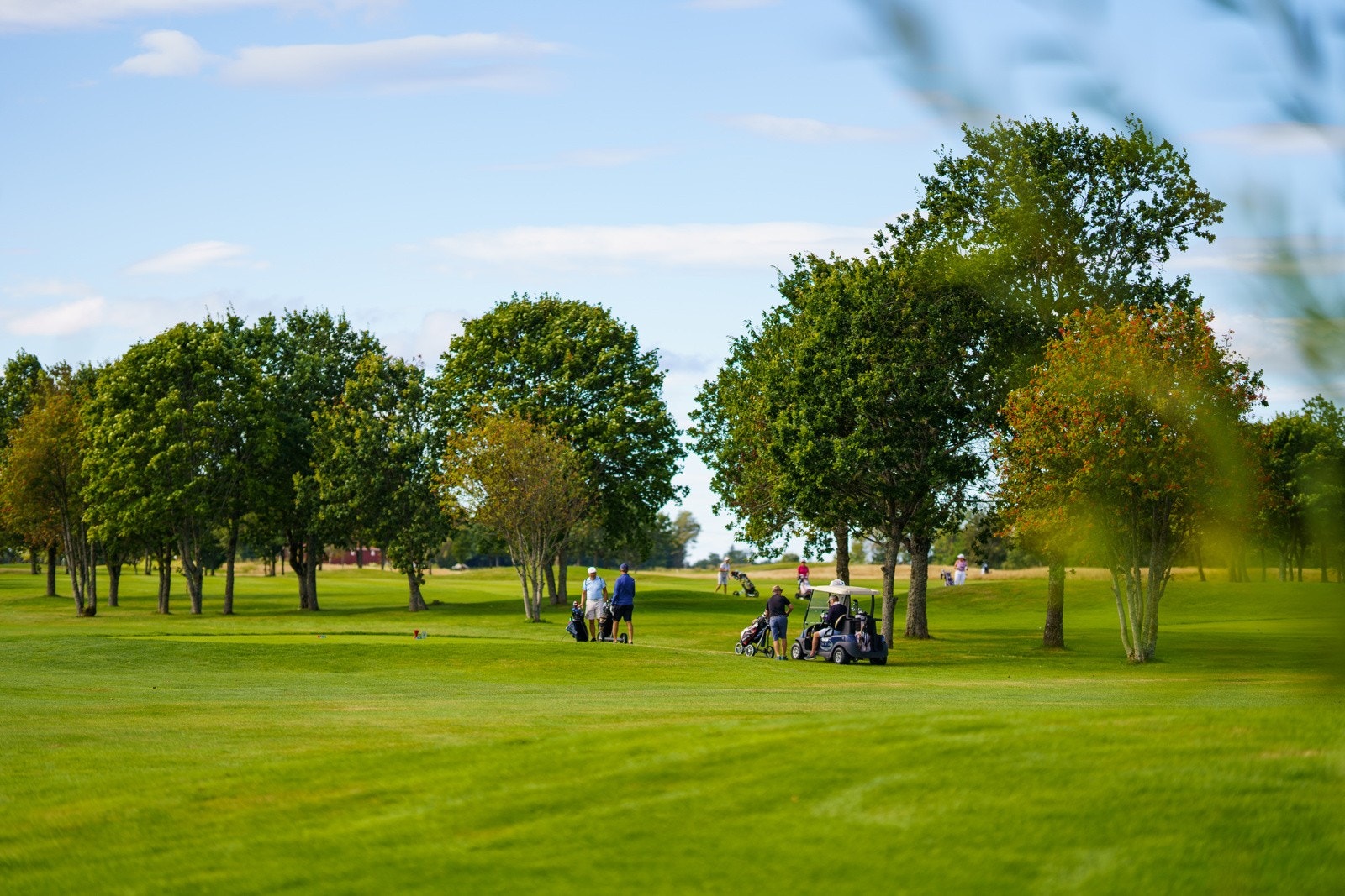 Nær flott golfbane Galleribilde