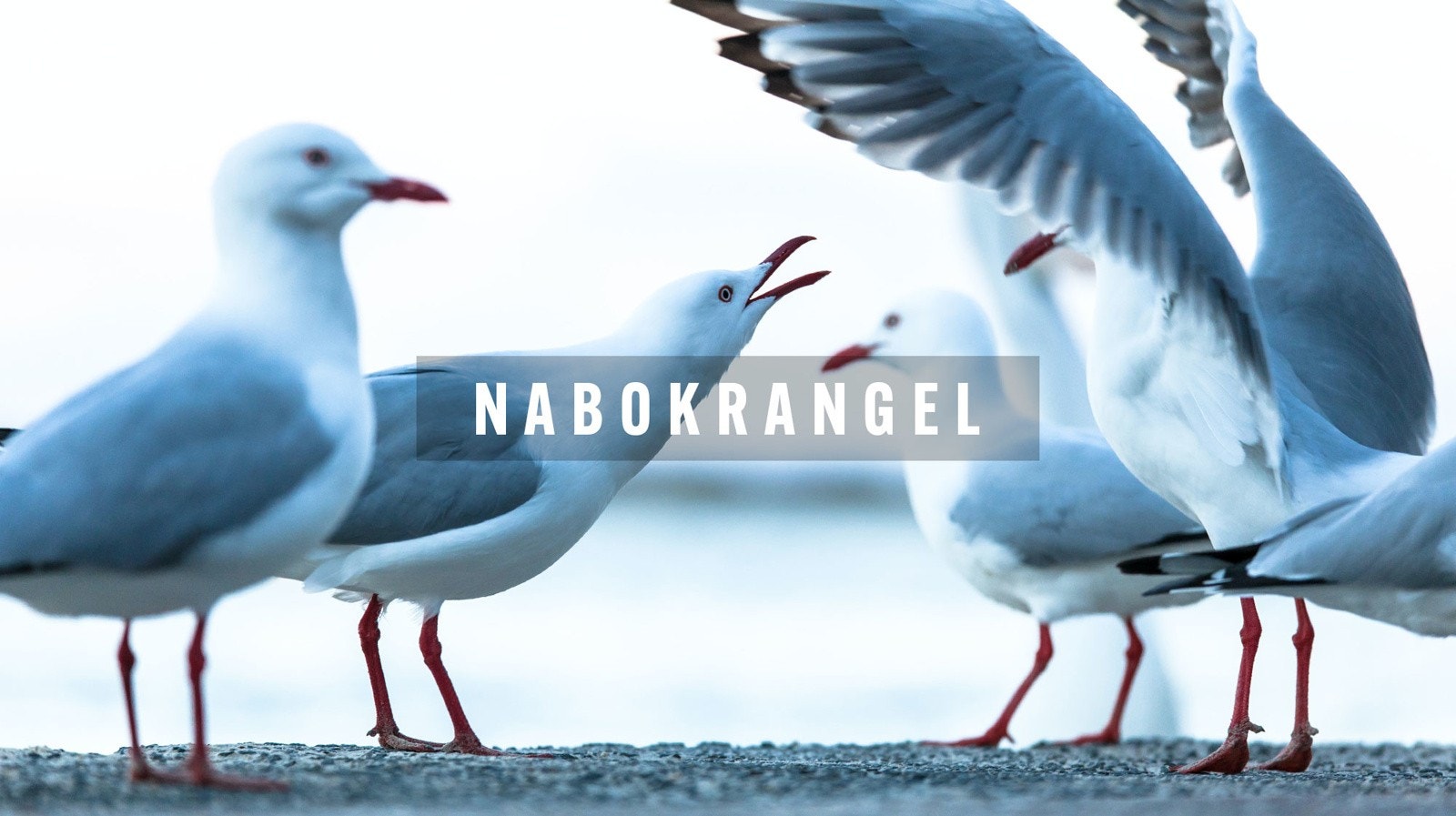 Et unikt boligprosjekt med et litt annerledes perspektiv Galleribilde