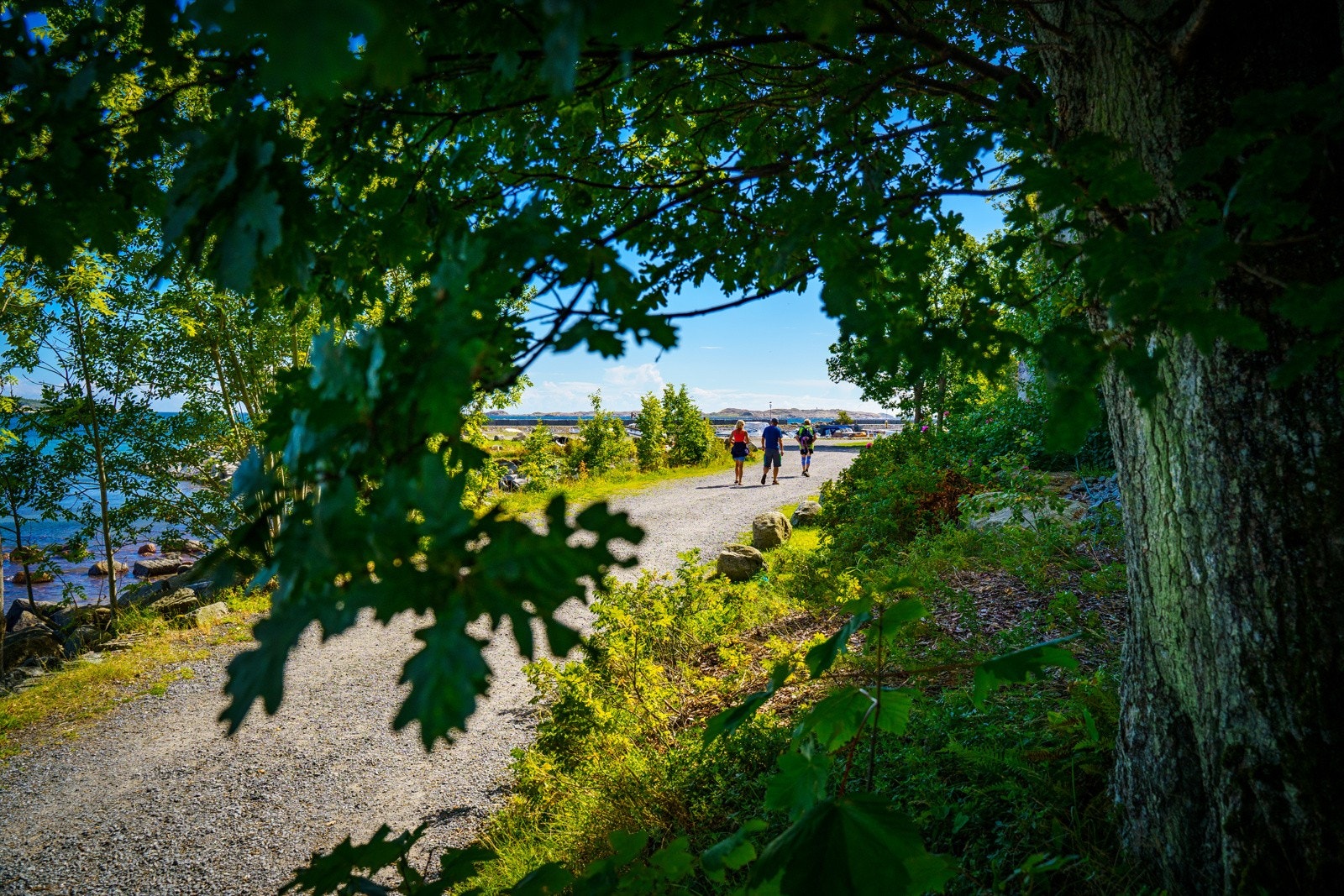 Umiddelbar nærhet til flotte turområder på land Galleribilde
