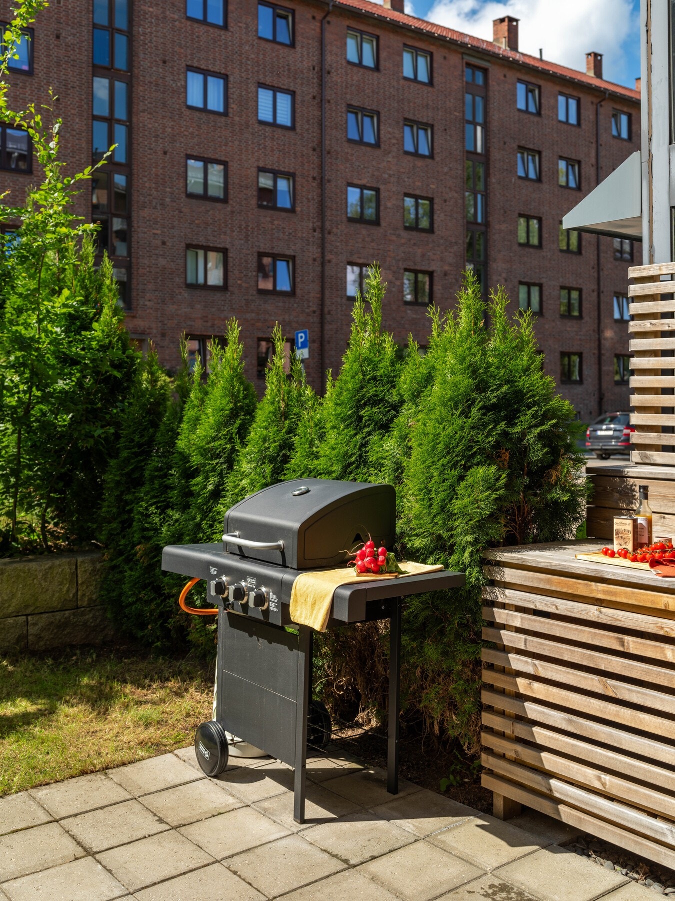 Sa noen grillmat til middag? Ja, takk! Galleribilde