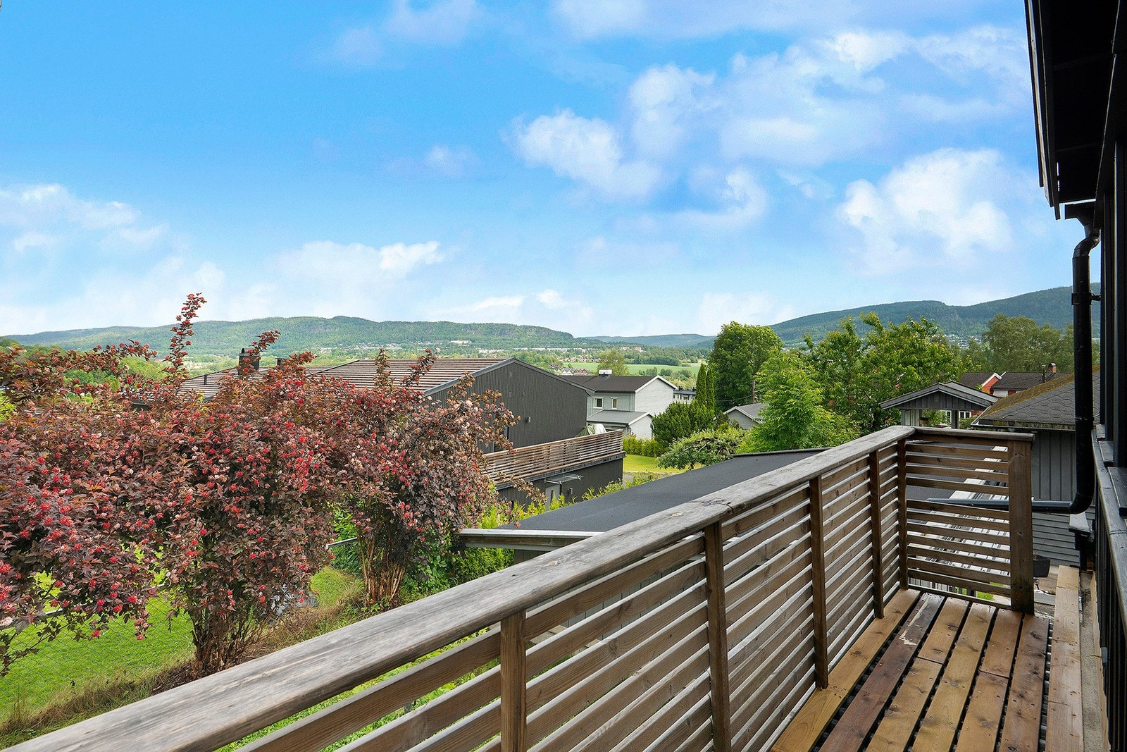 Flott og fri utsikt over naturskjønt nærområde Galleribilde