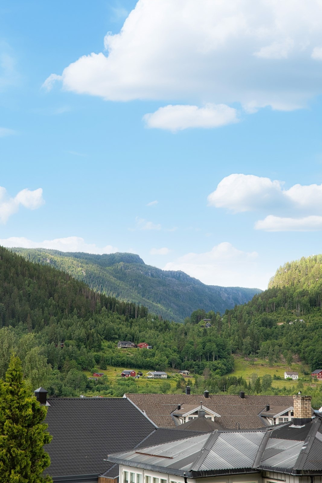 Flotte utsiktsforhold fra Grønlihagen Galleribilde