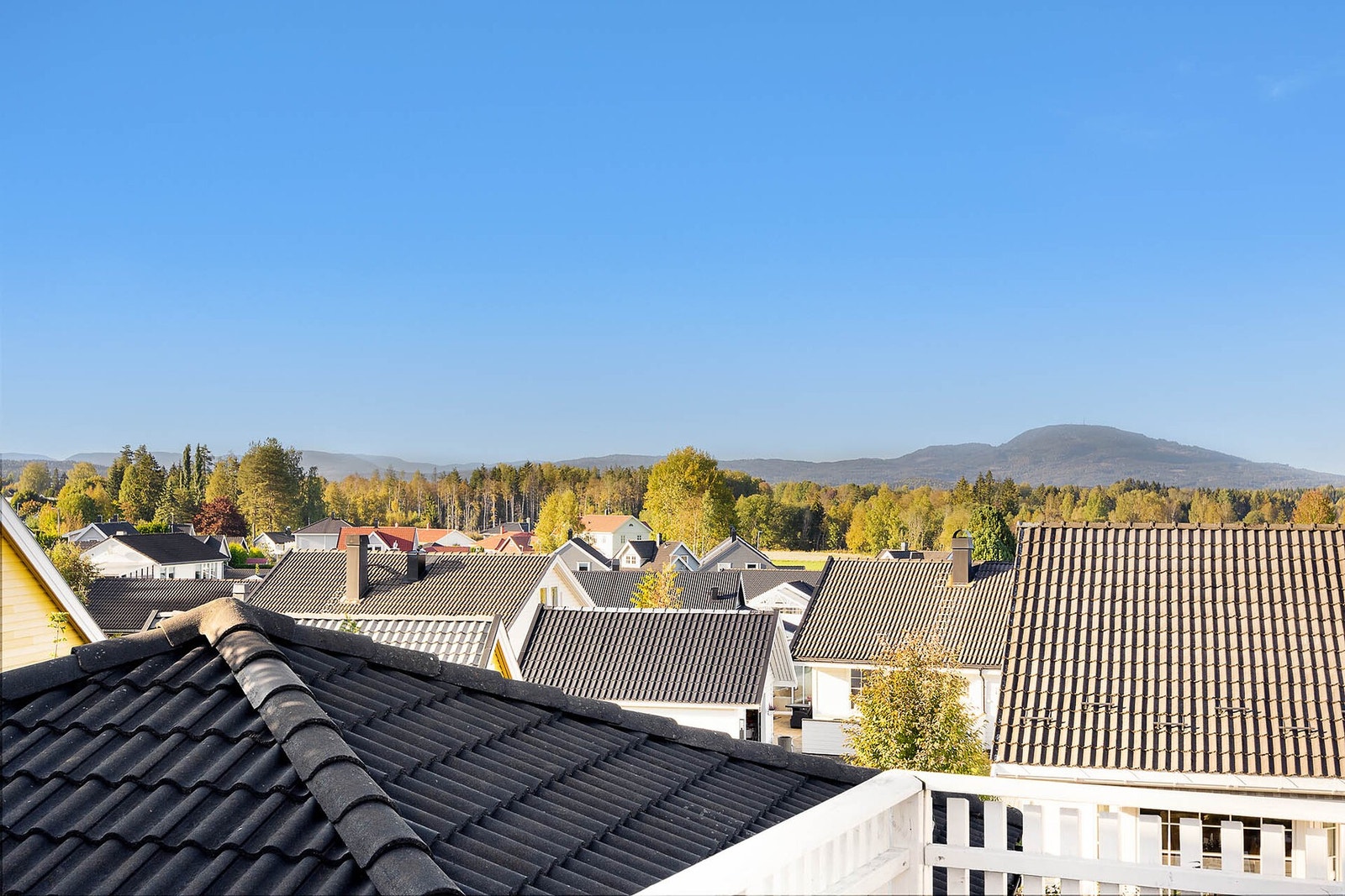 Utsikt fra terrassen. Galleribilde