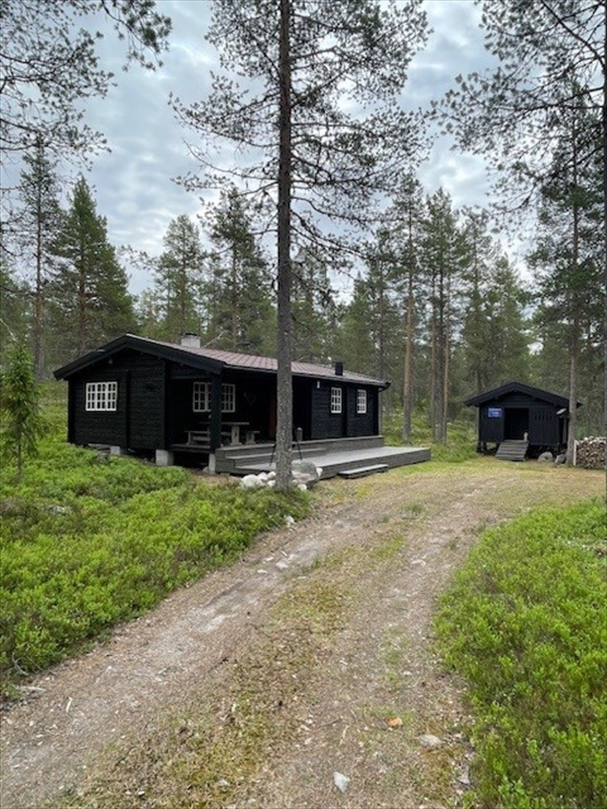 Halvtimes biltur til Osensjøen med badestrand og vannaktiviteter, og til Furutangen alpinsenter som også byr på gode sommeraktiviteter Galleribilde