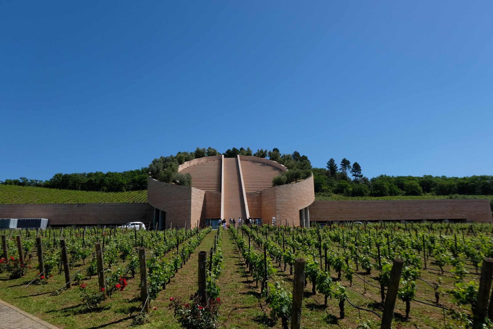 Fra vår eiendom så har vi utsikt til Cantina Petra. Galleribilde