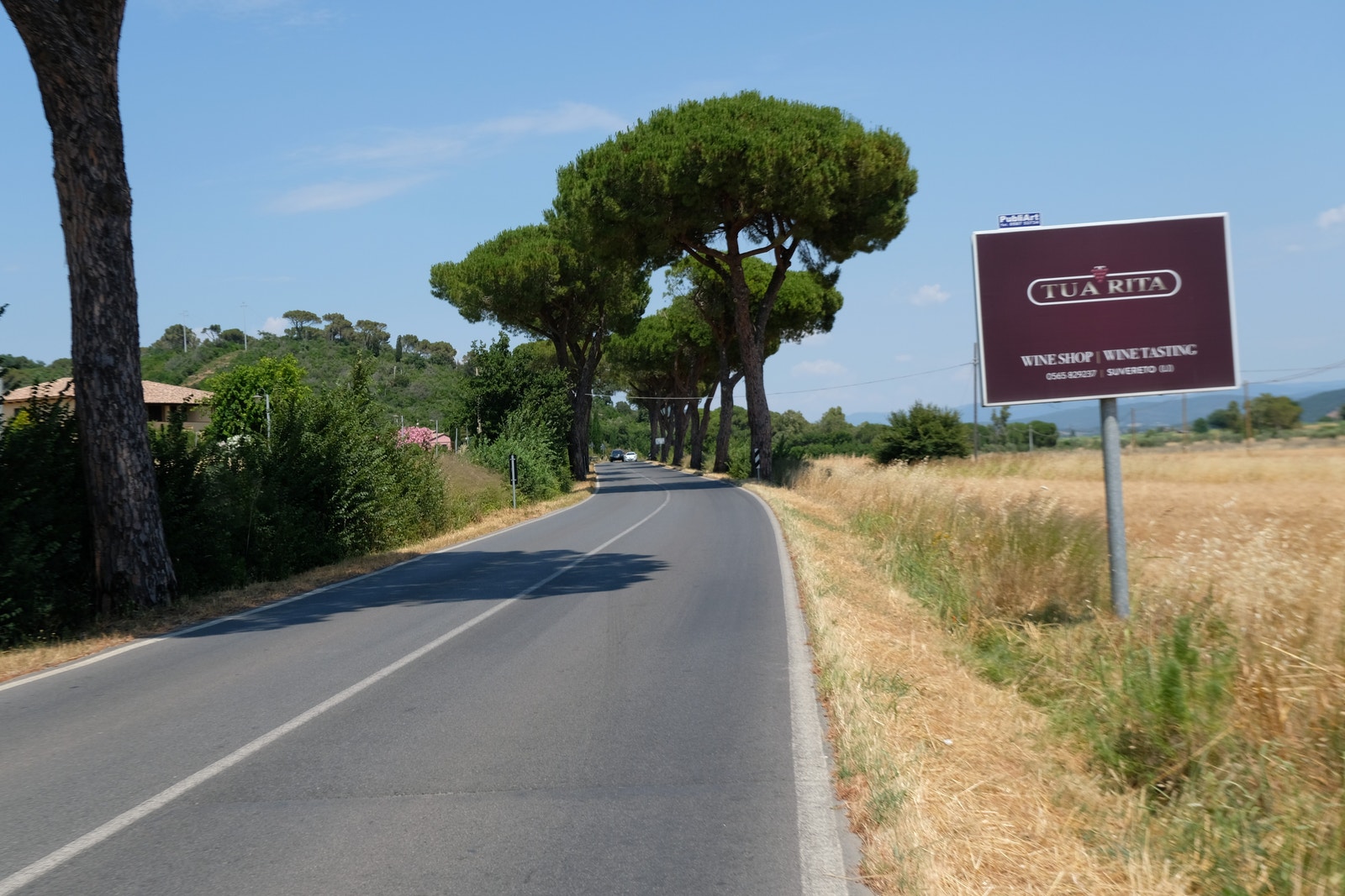 Suvereto Galleribilde