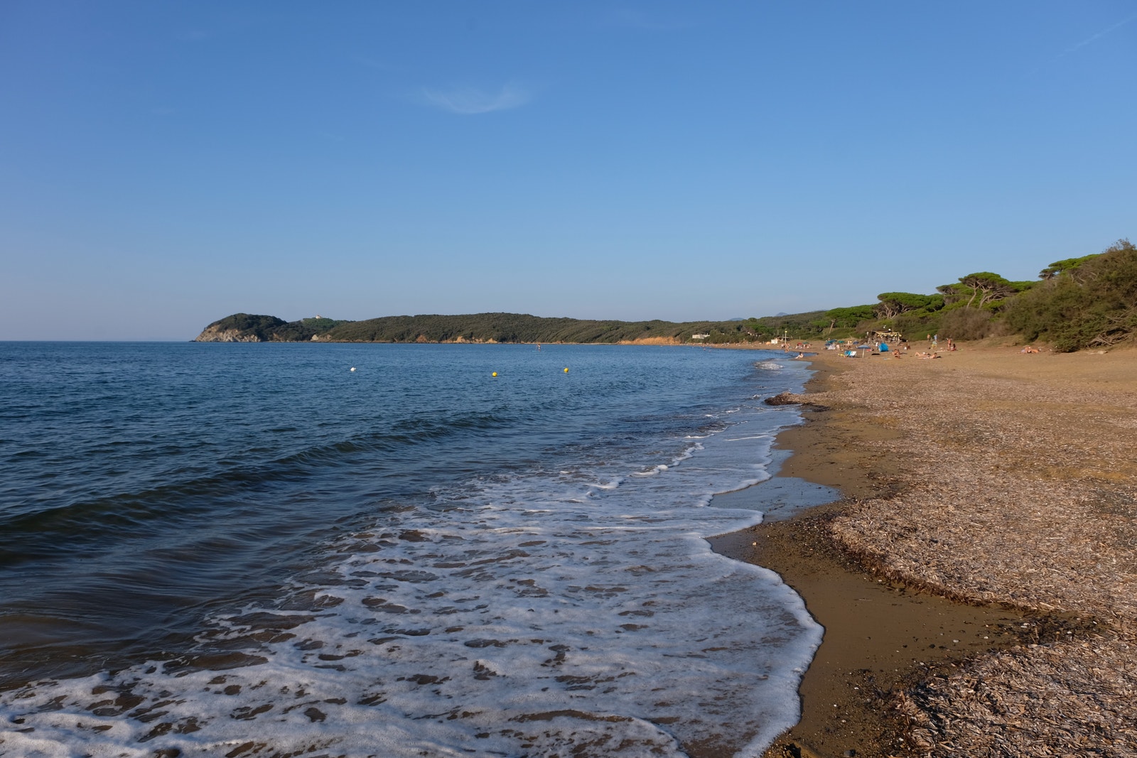 Strand ved Suvereto Galleribilde