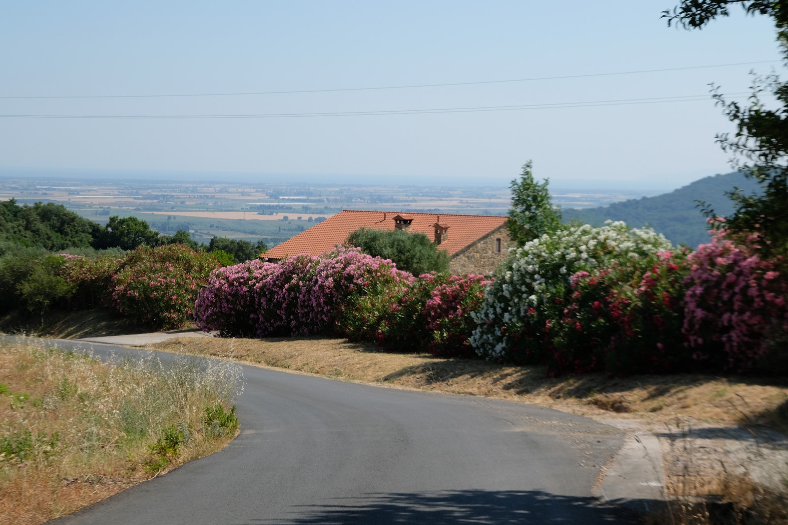 Veien som går fra bolig og ned til byen! Galleribilde