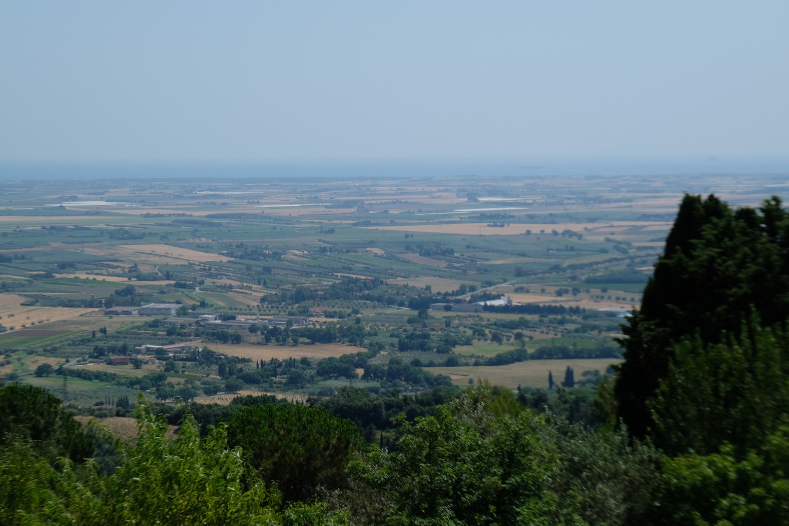 Utsiktseiendom. Galleribilde