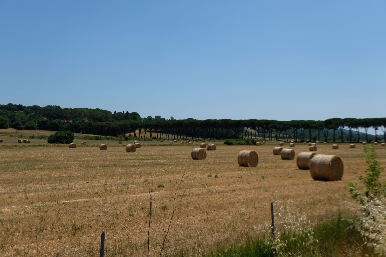 Suvereto Galleribilde