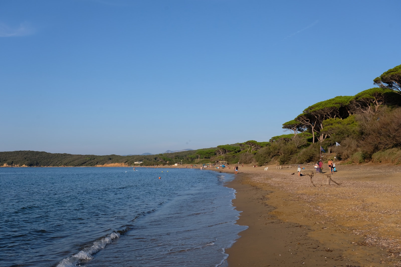 Strand ved Suvereto Galleribilde