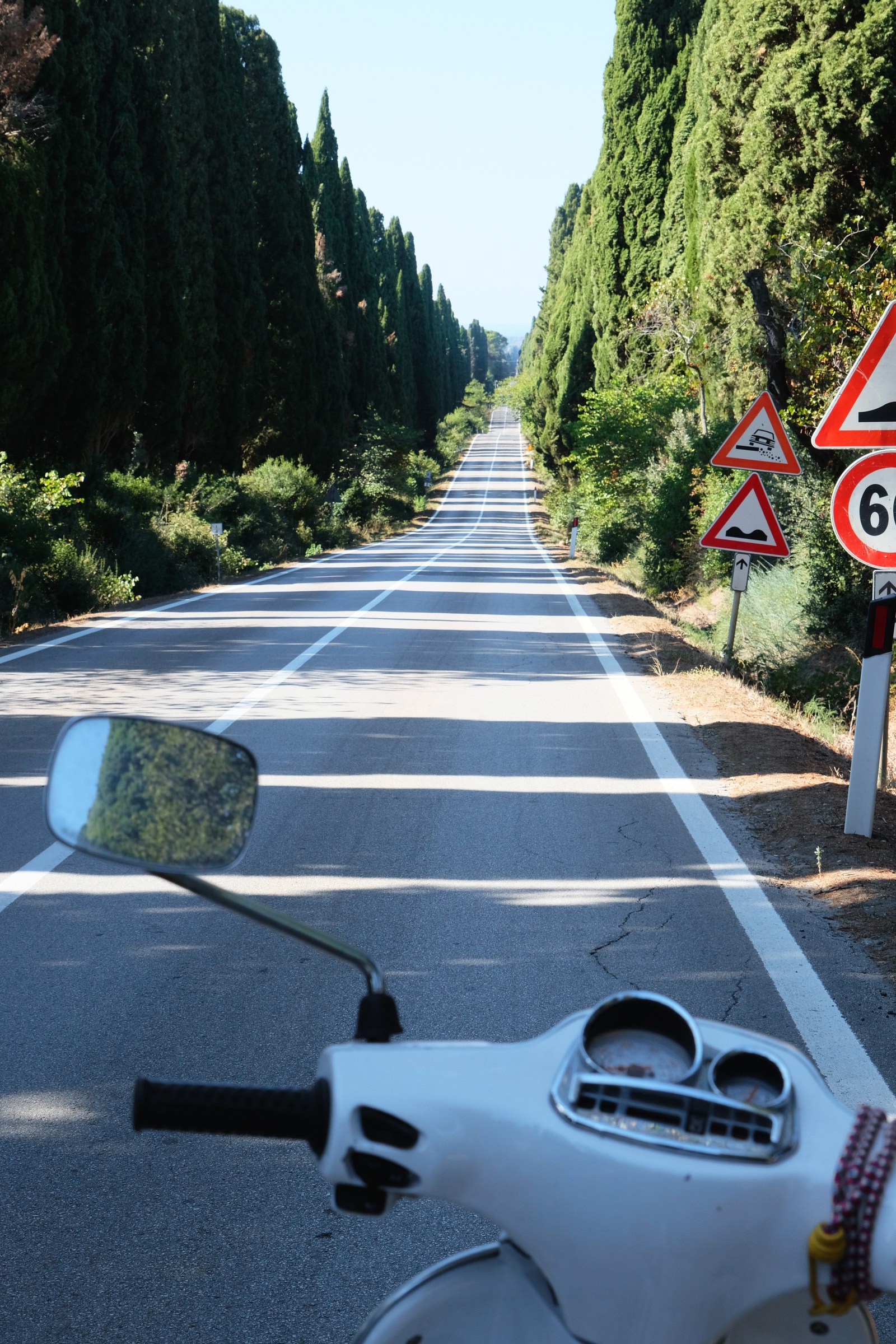 Bolgheri vindistrikt Galleribilde