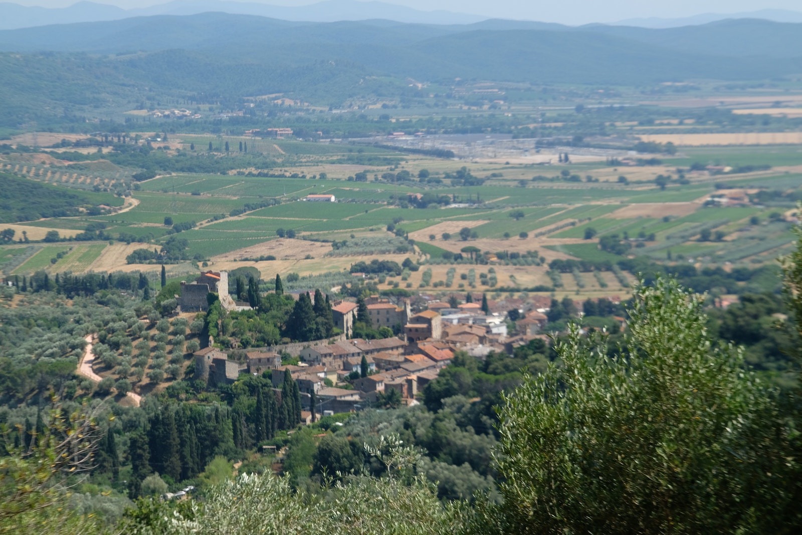 Utsiktseiendom. Galleribilde