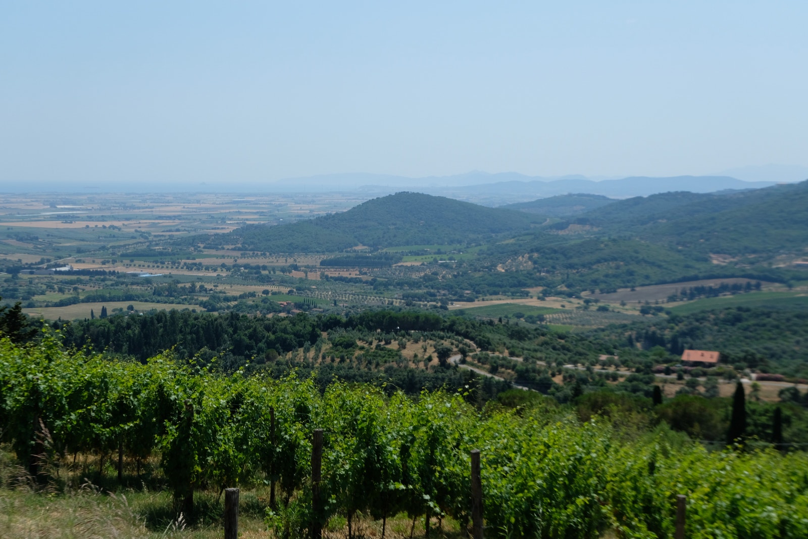 Utsiktseiendom. Galleribilde