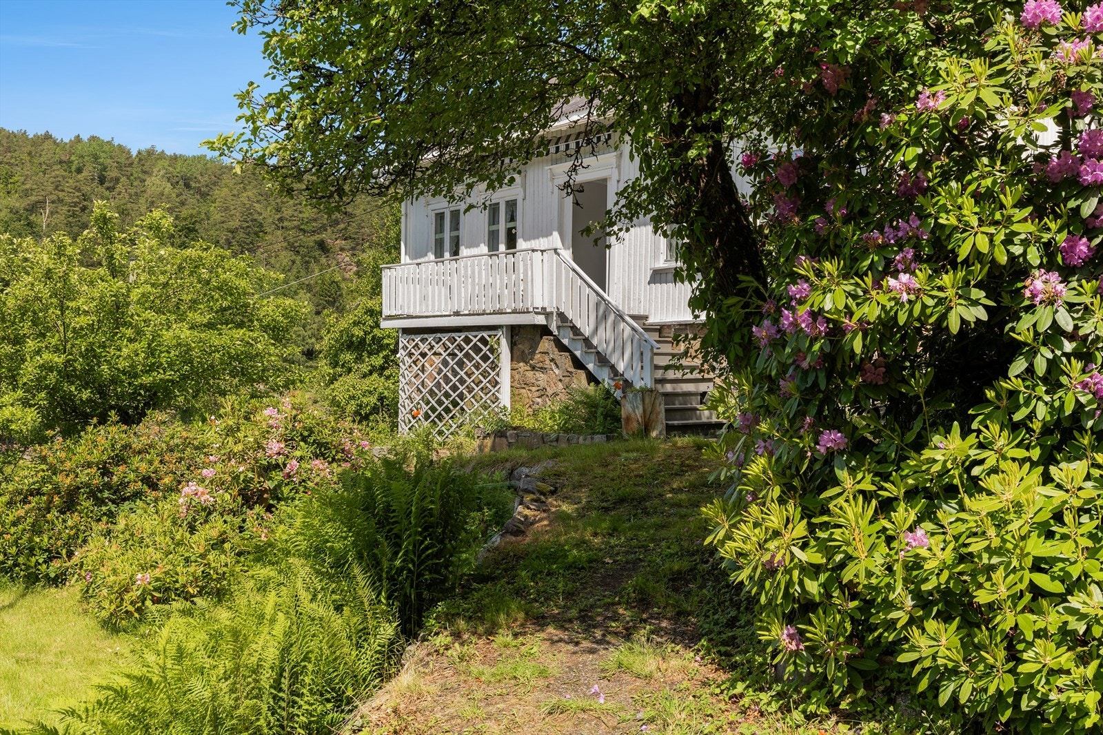 Frodig hage med bed og beplantninger, samt flere frukttrær Galleribilde