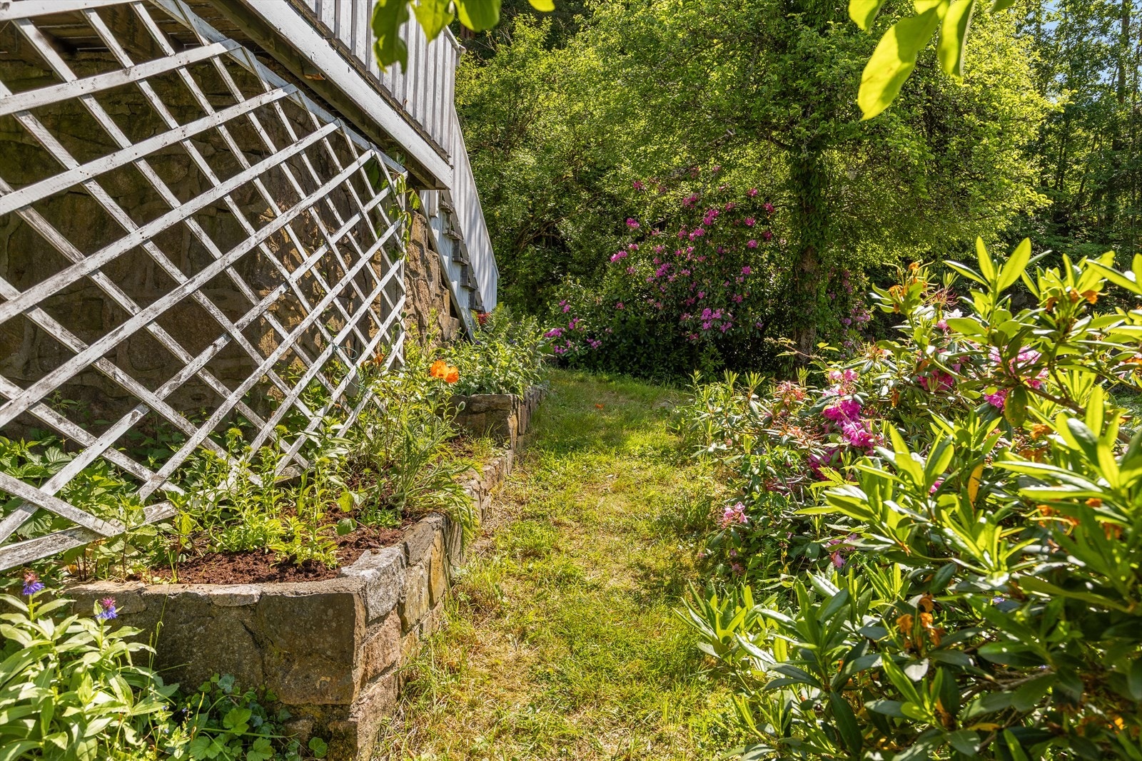 Koselig hage med flotte hageplanter- og blomster Galleribilde